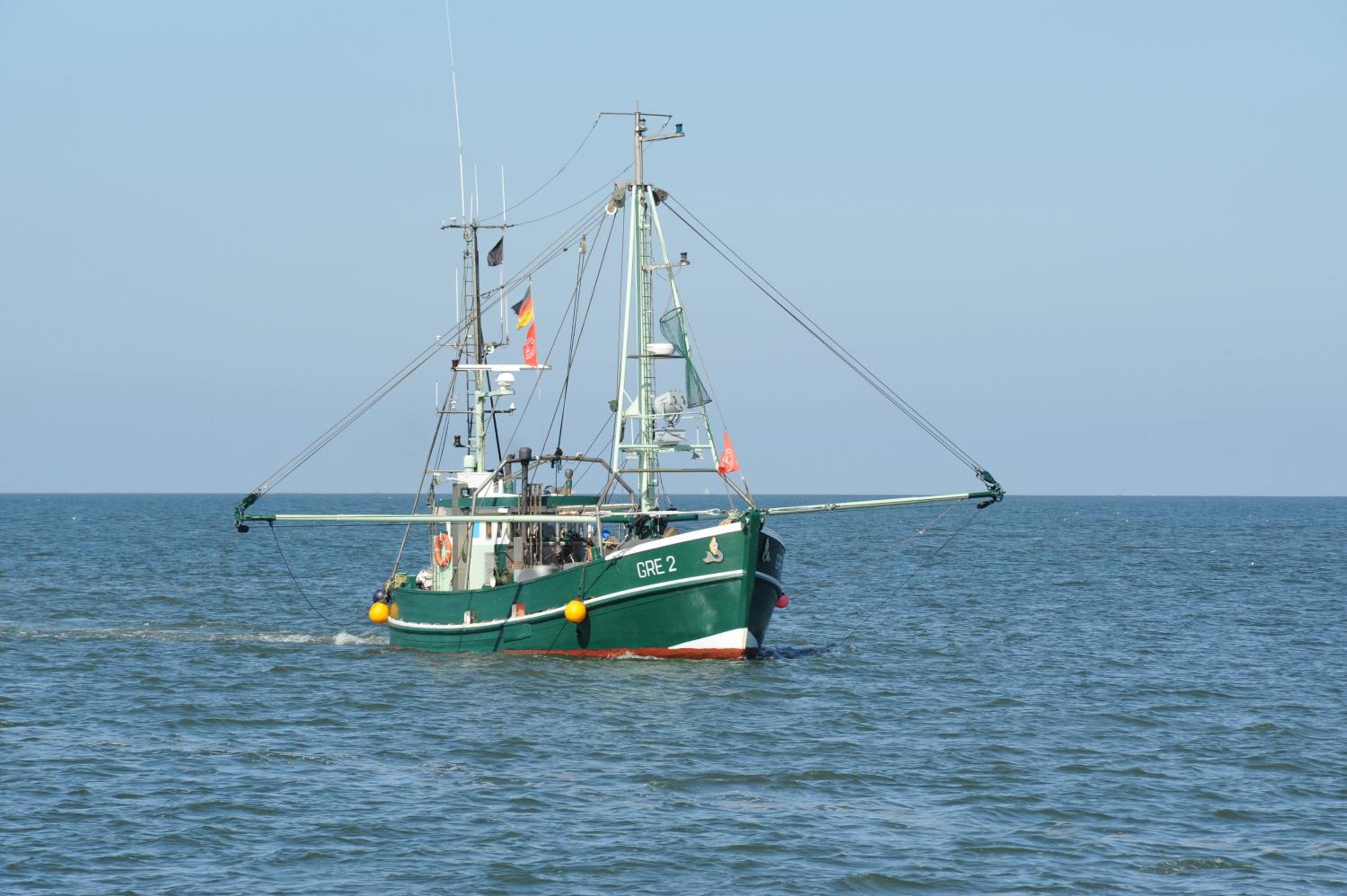 Ahoi