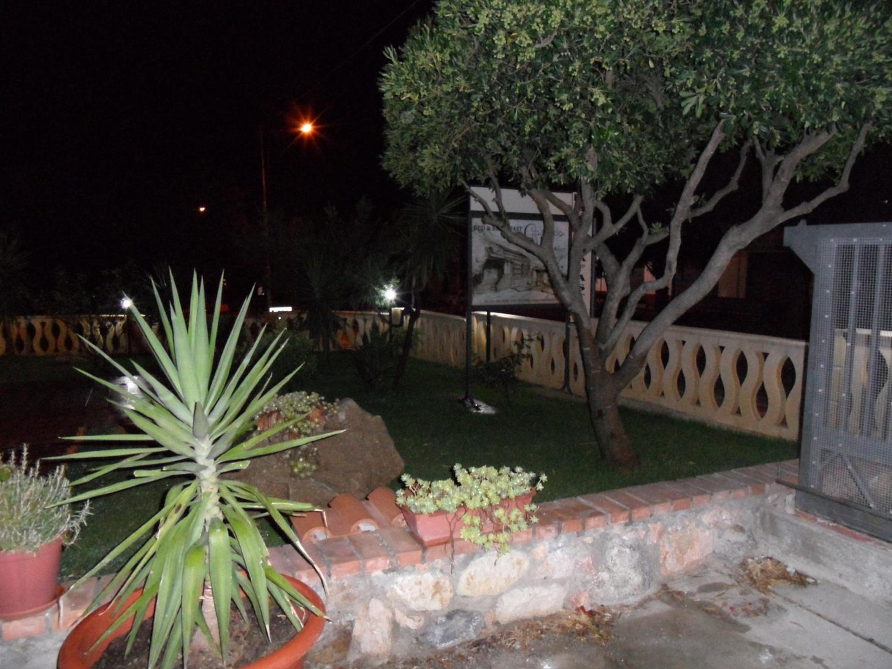 Photo 38