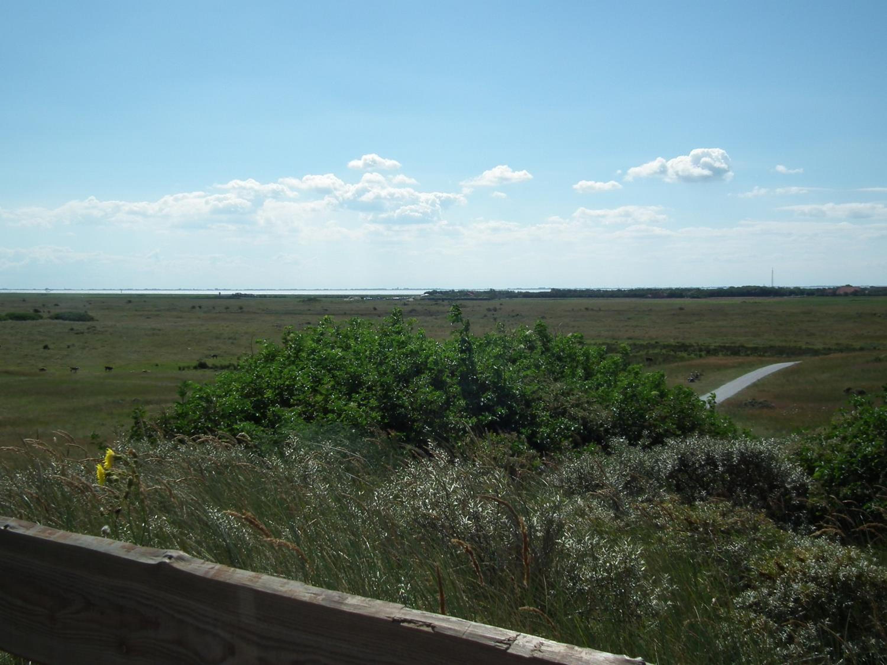 Photo 46