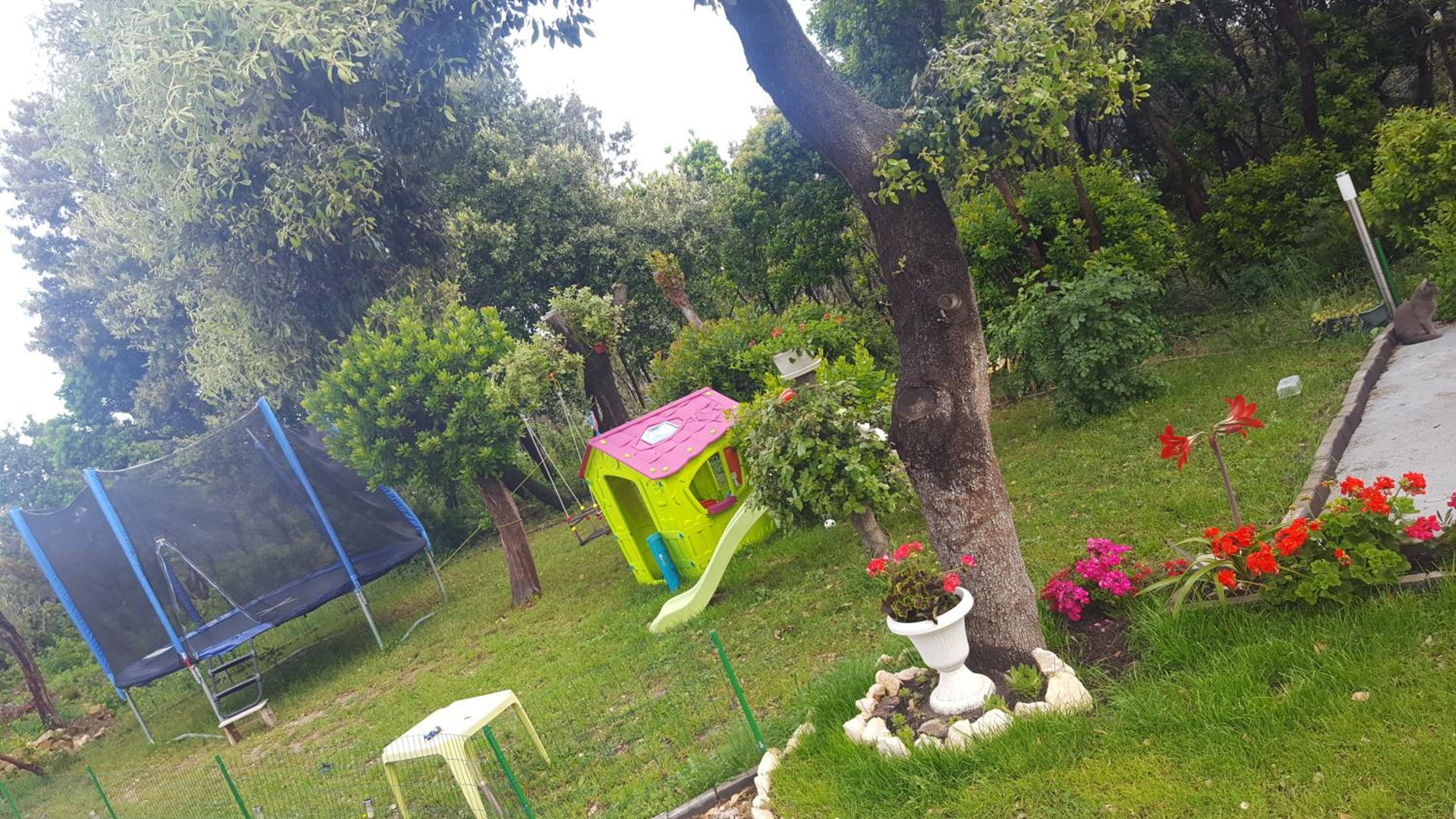 Photo 8