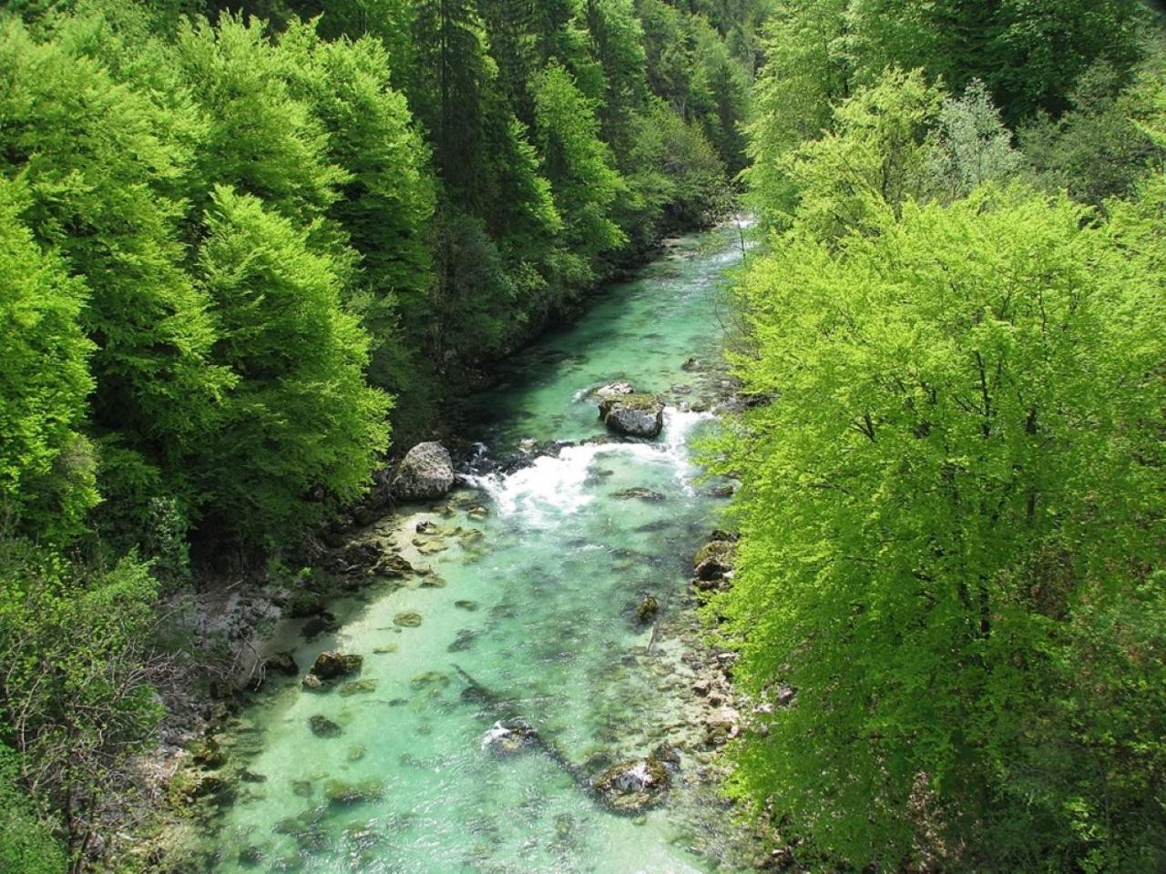 Photo 27