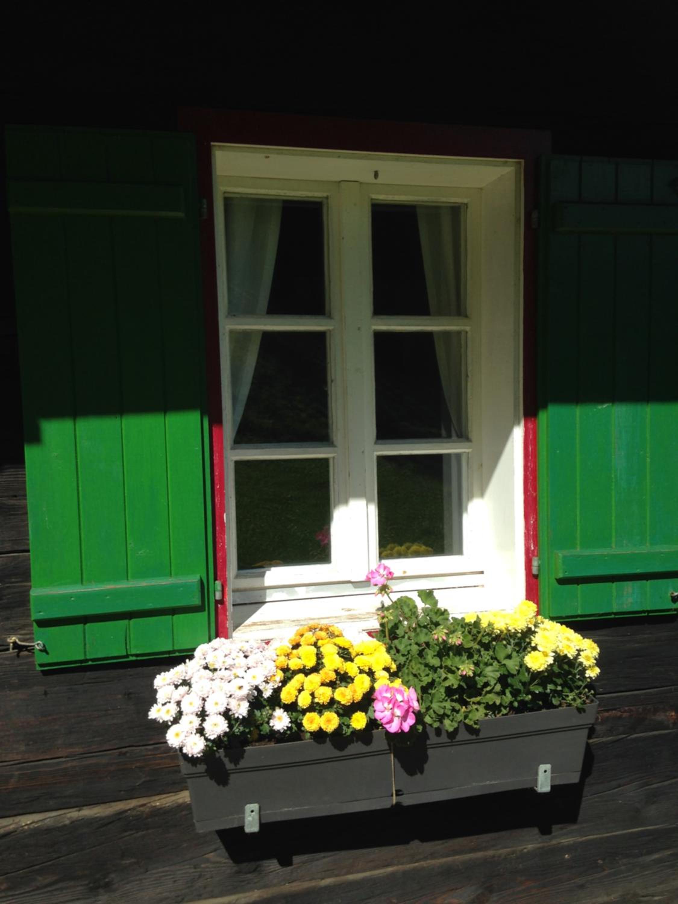Ferienhaus Trausibauer