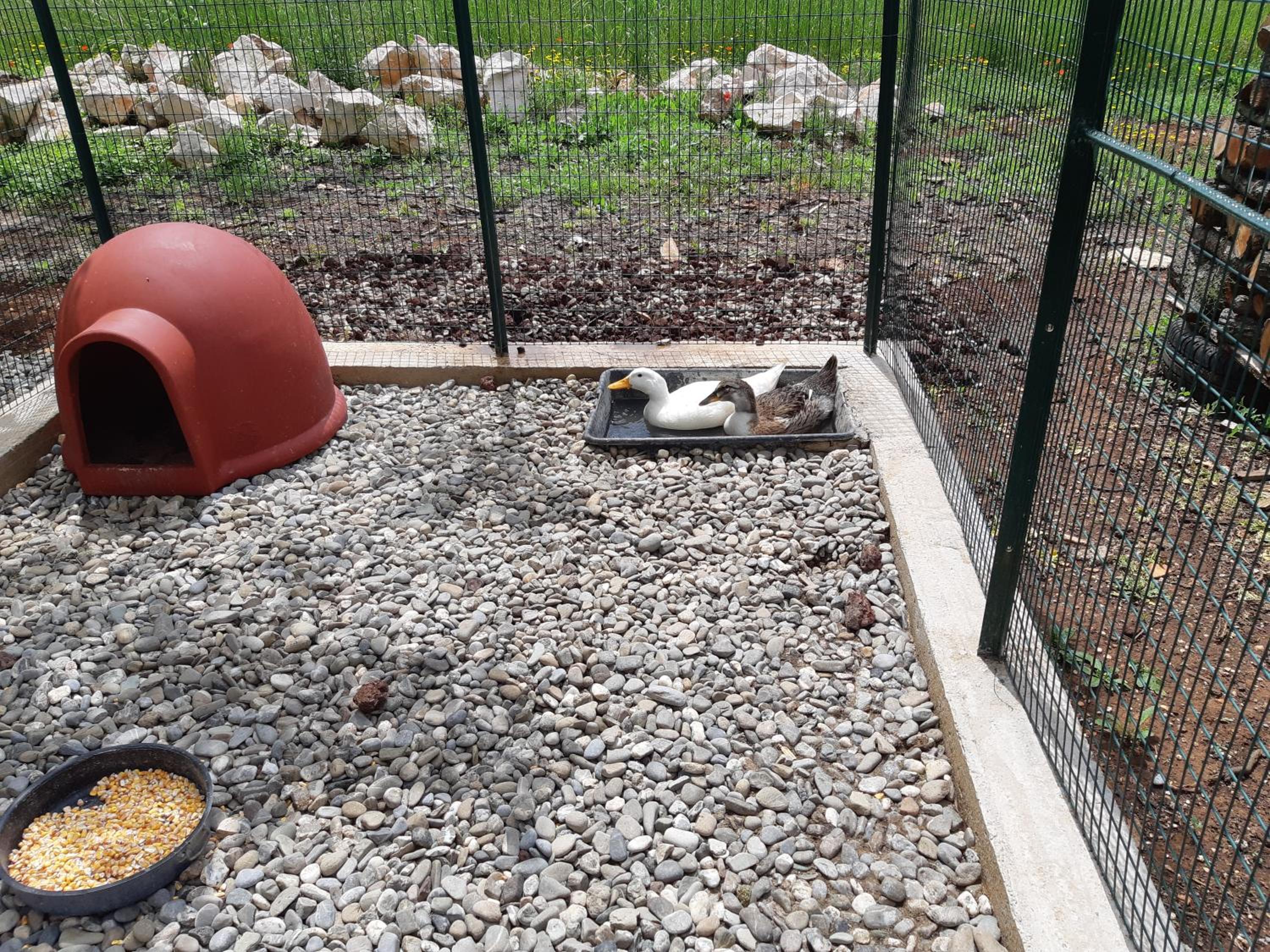 Photo 41