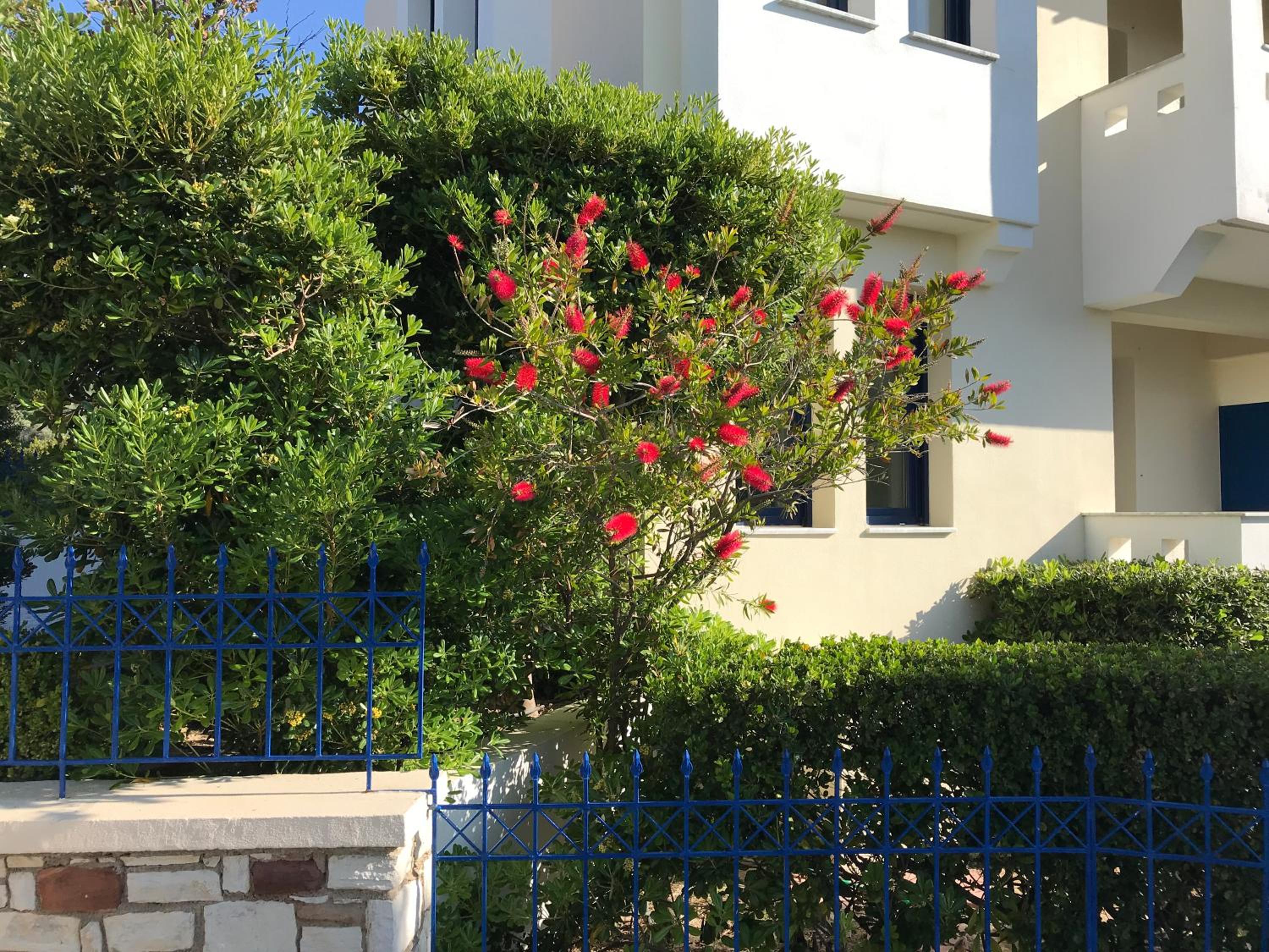 Hotel Sea Breeze Apartments Chios - Image 1