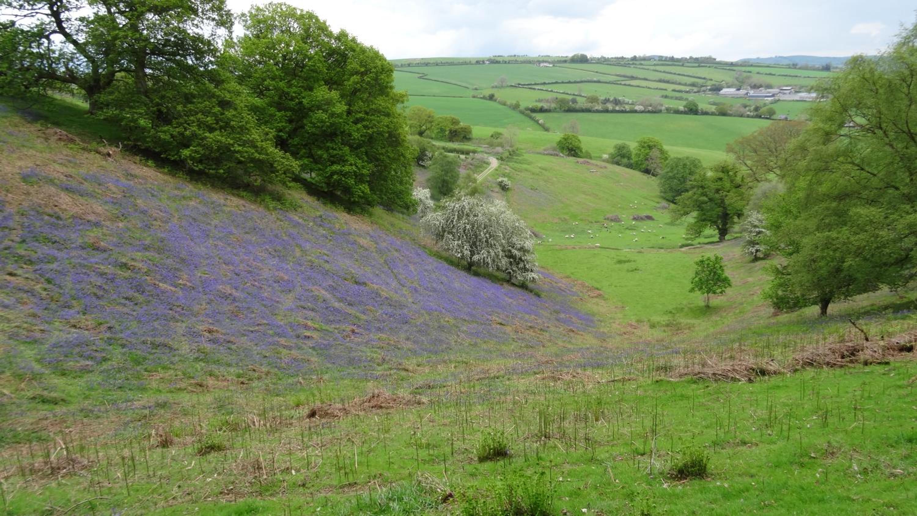 Middle Woodbatch B&B