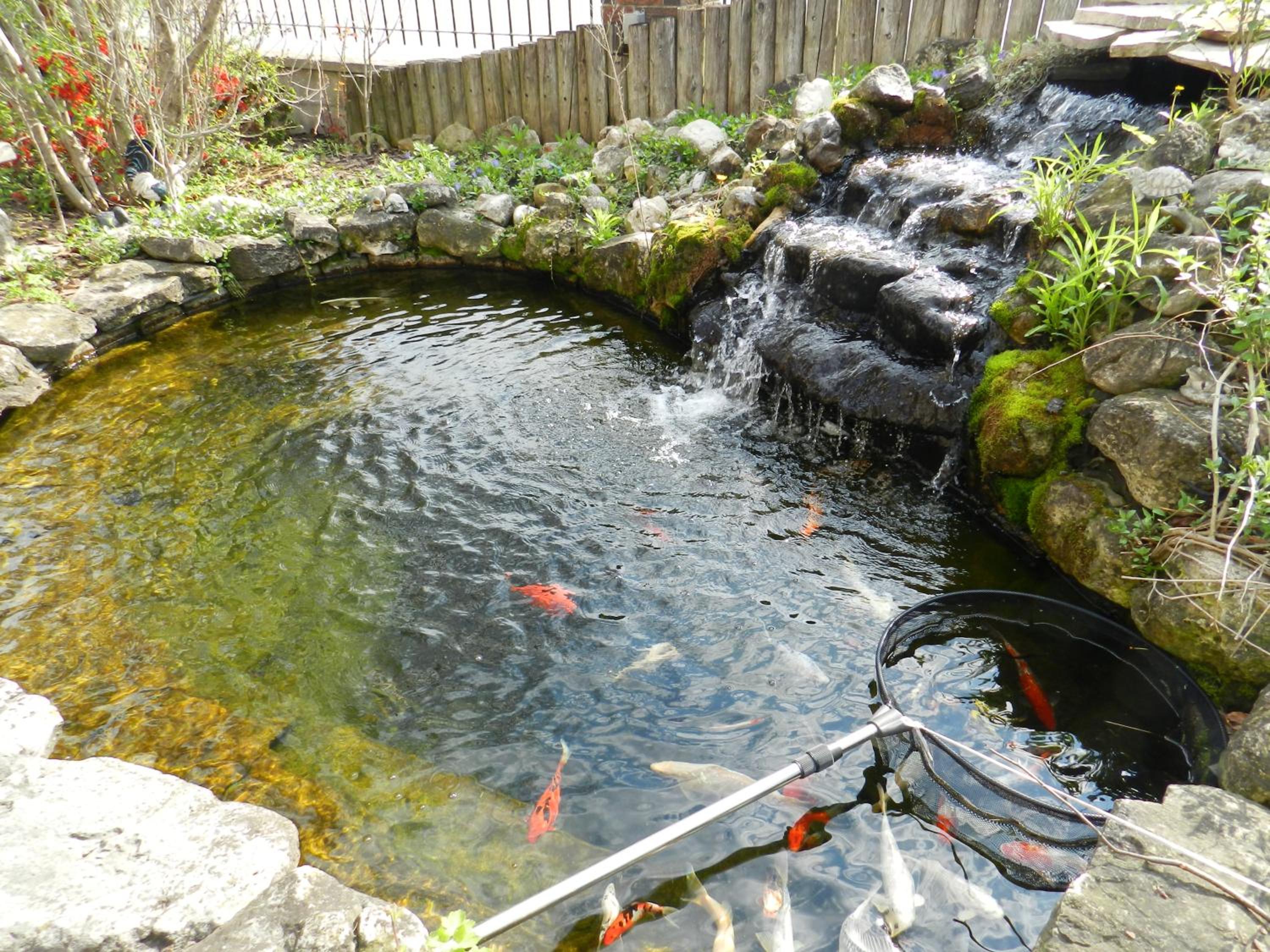 Photo 10