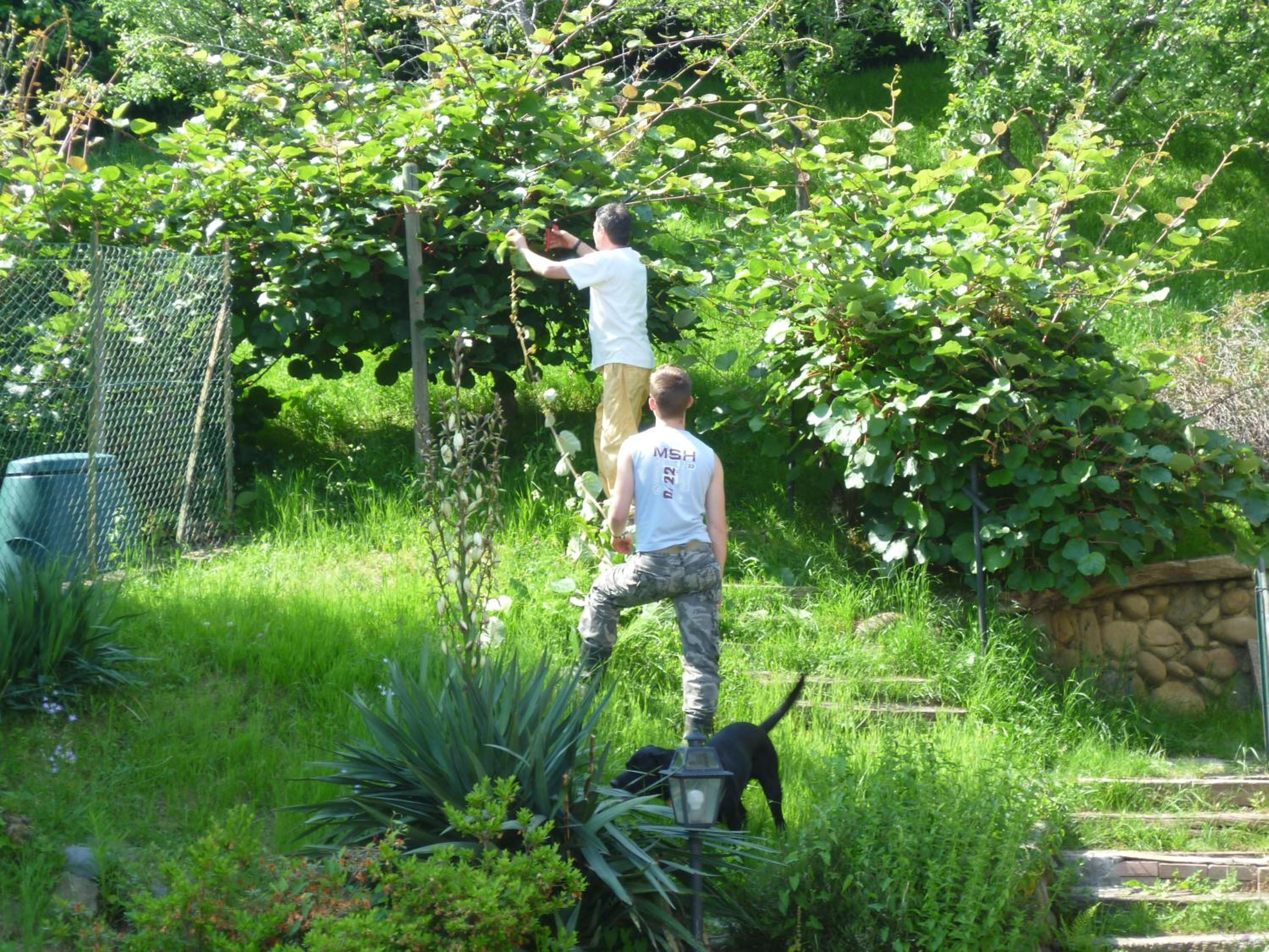 Photo 72
