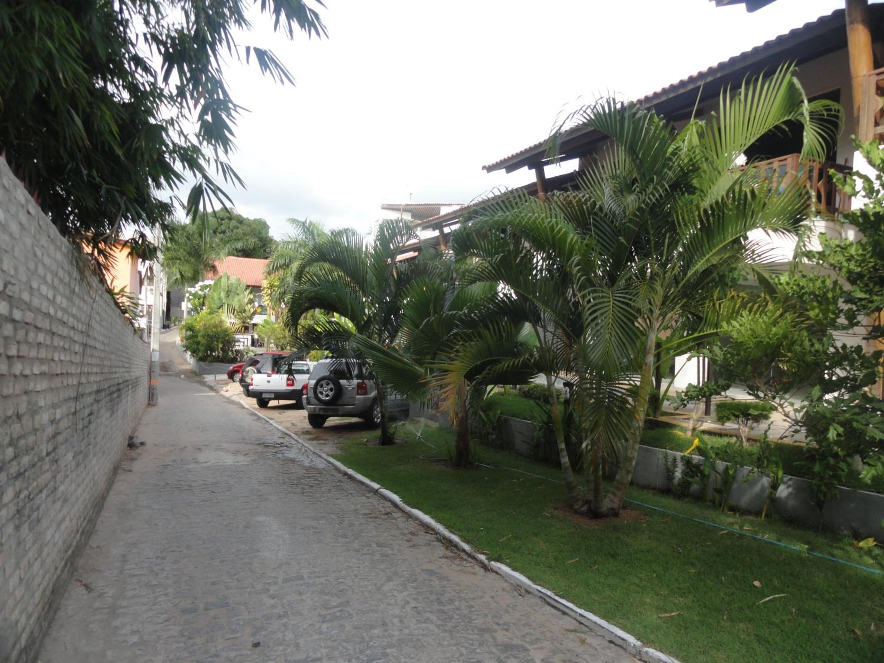 Photo 42