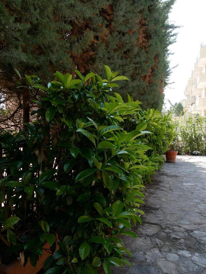 Villa Borghese B&B