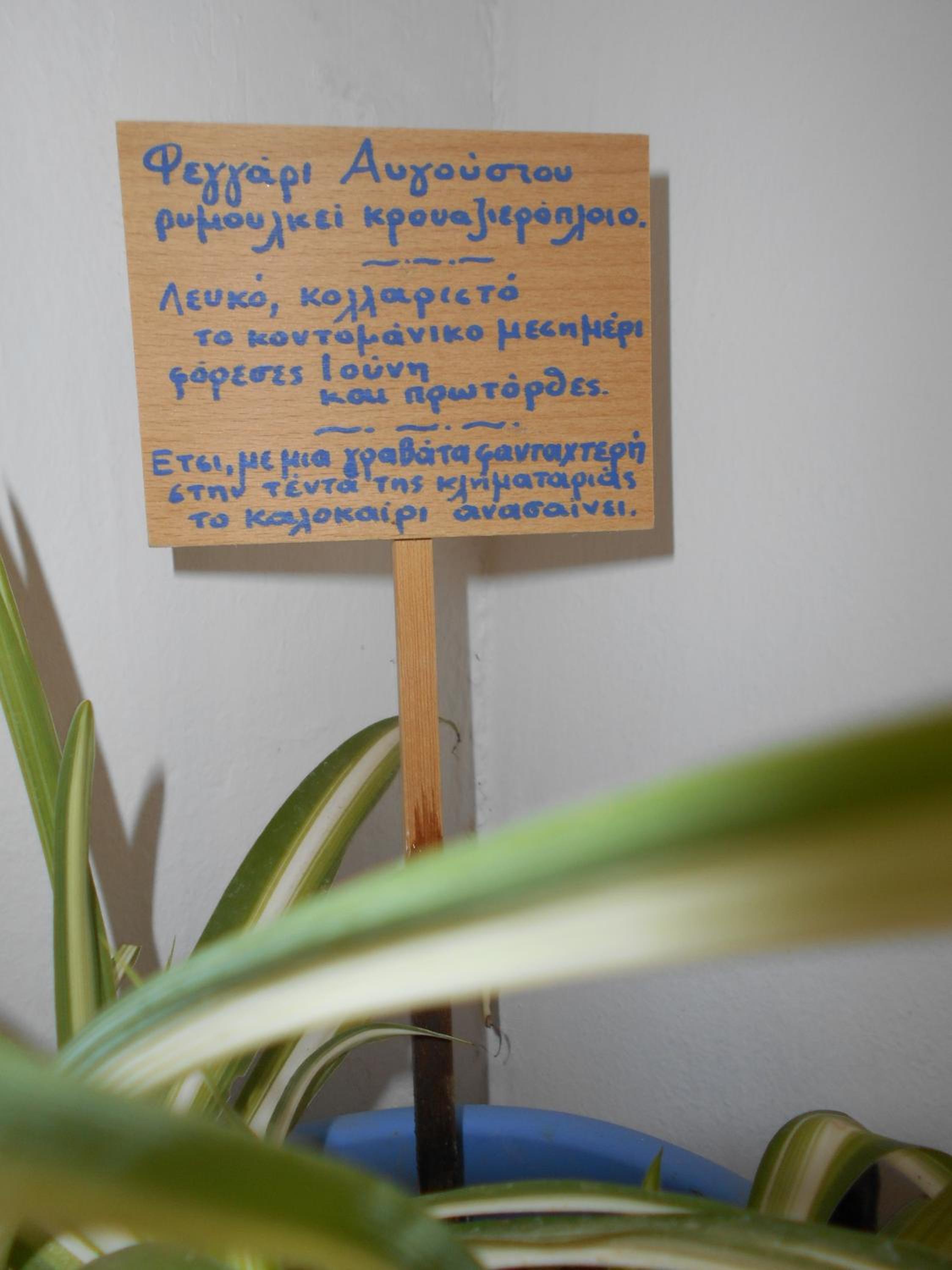 Photo 33