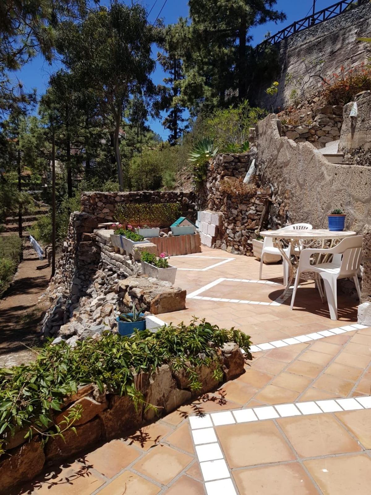 El Mirador view 5