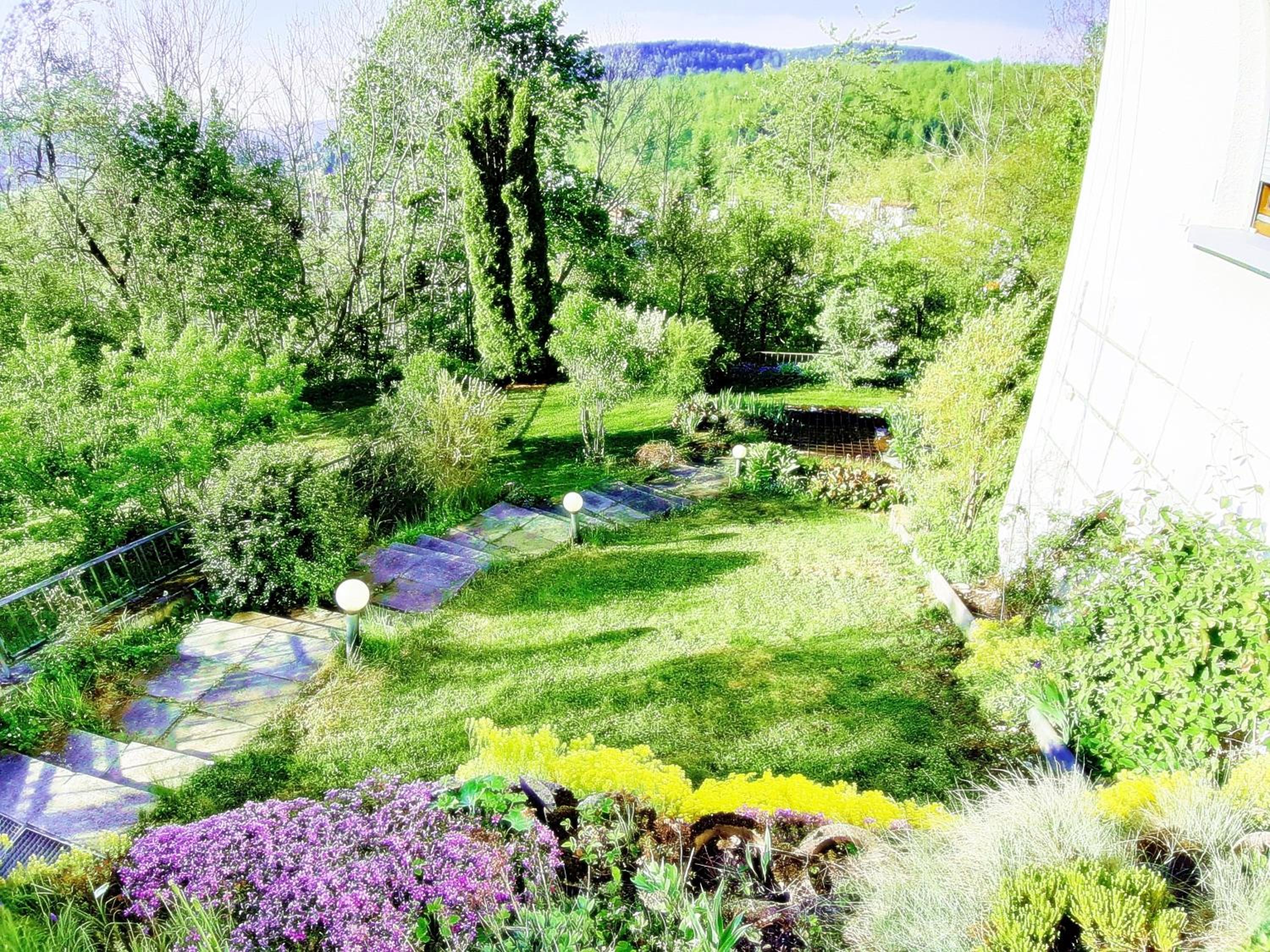 Photo 25