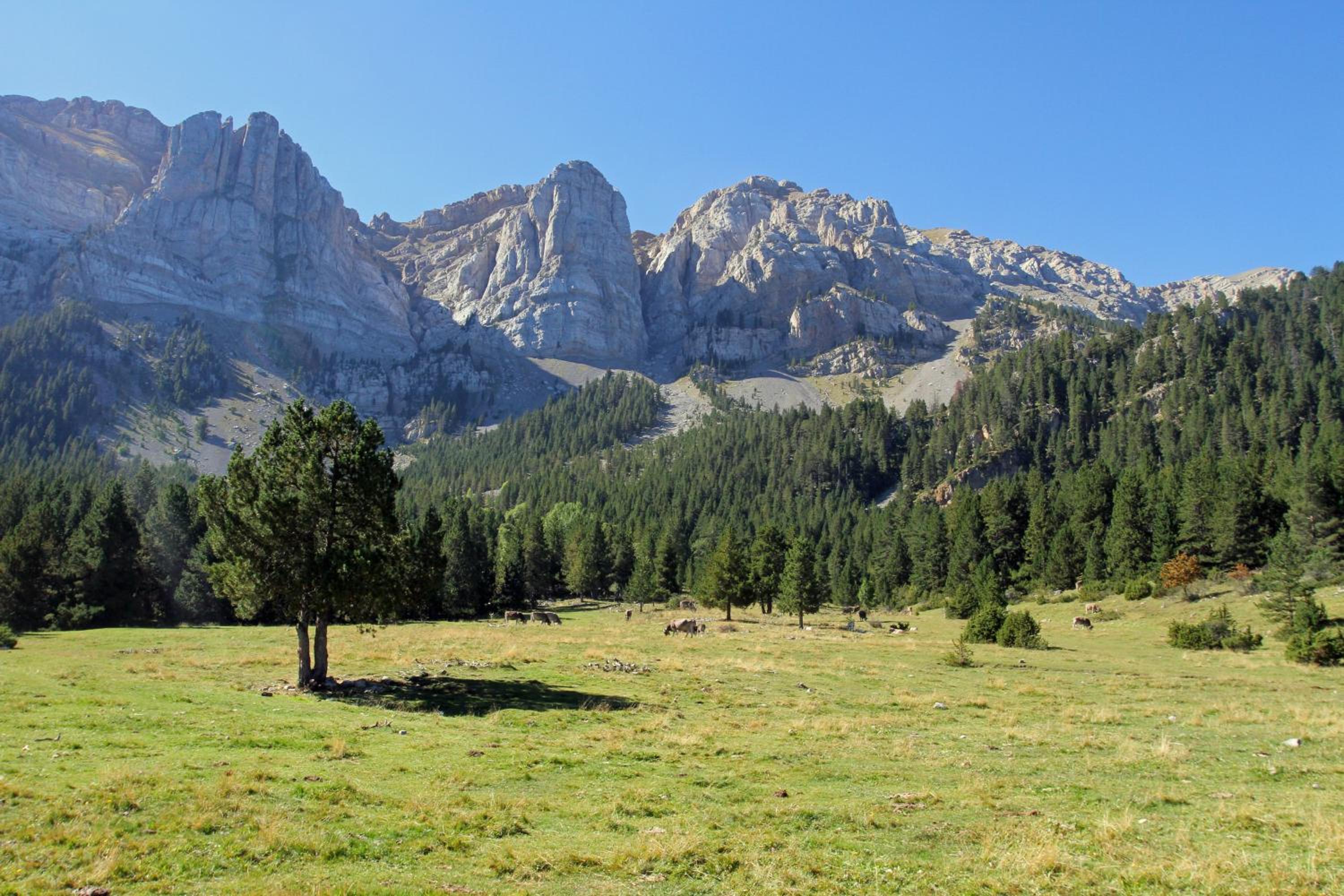 Cerdanya Viva Ecoestades