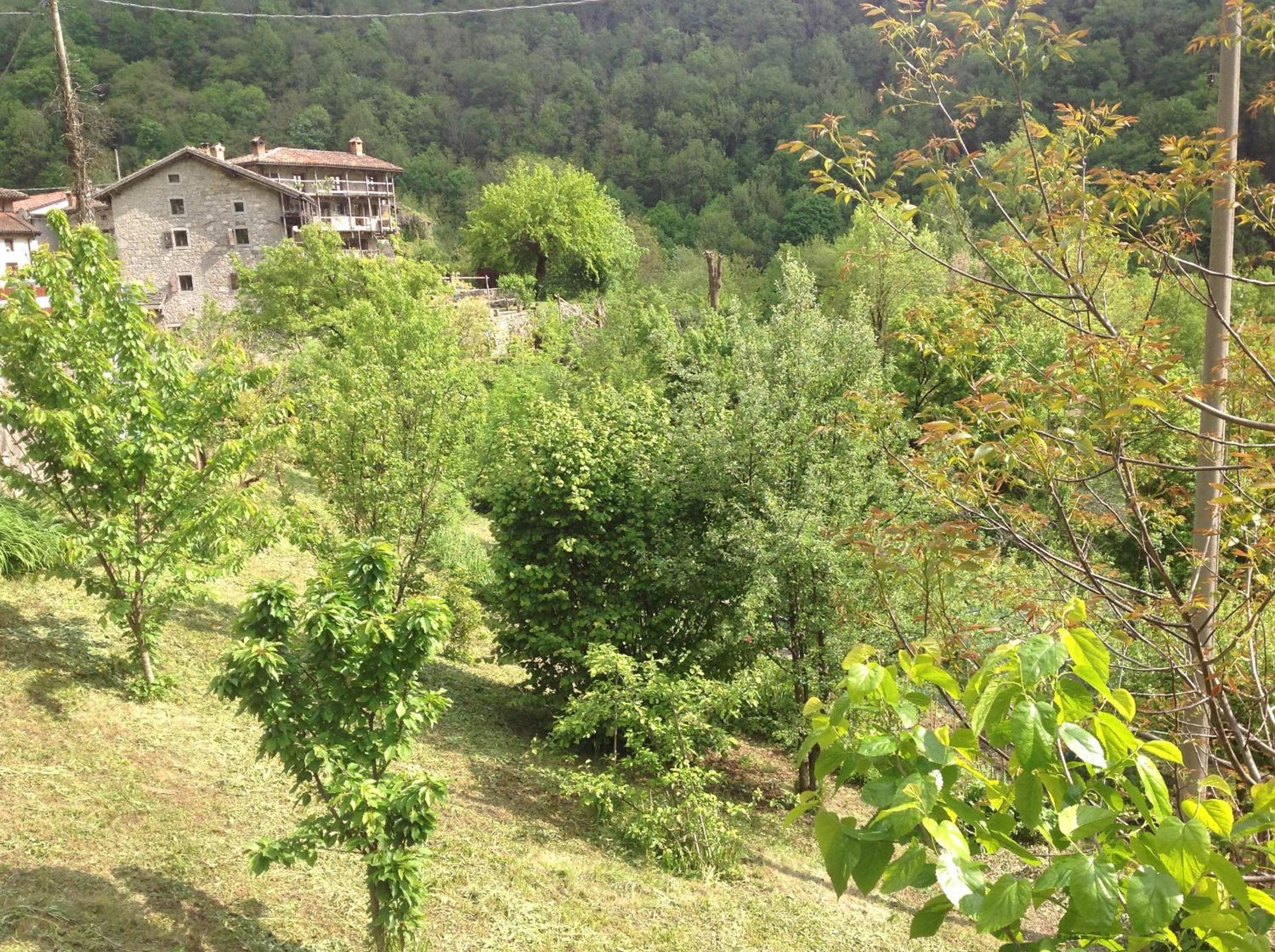 Photo 26