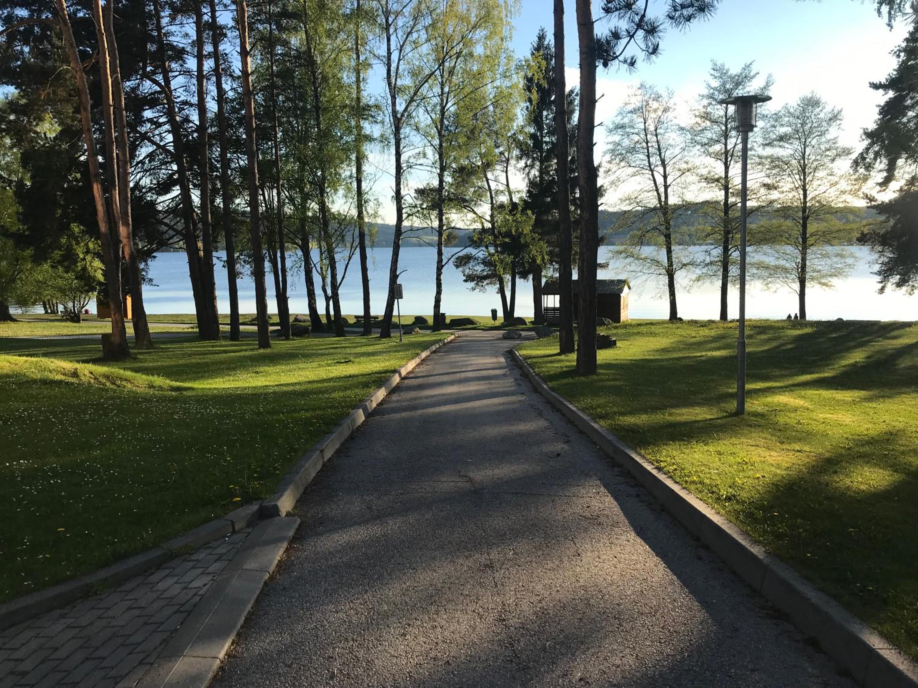 Photo 41