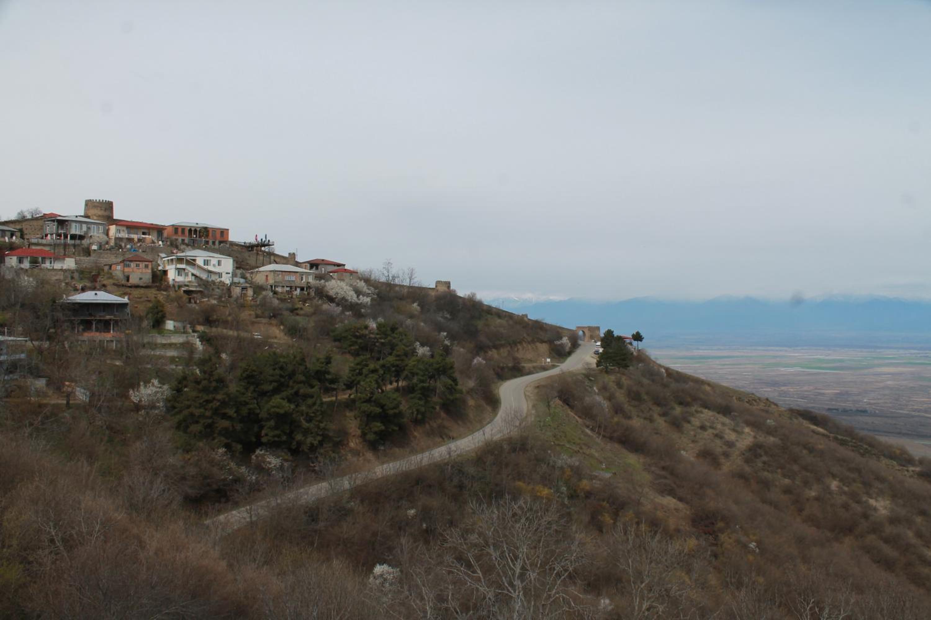 Photo 24