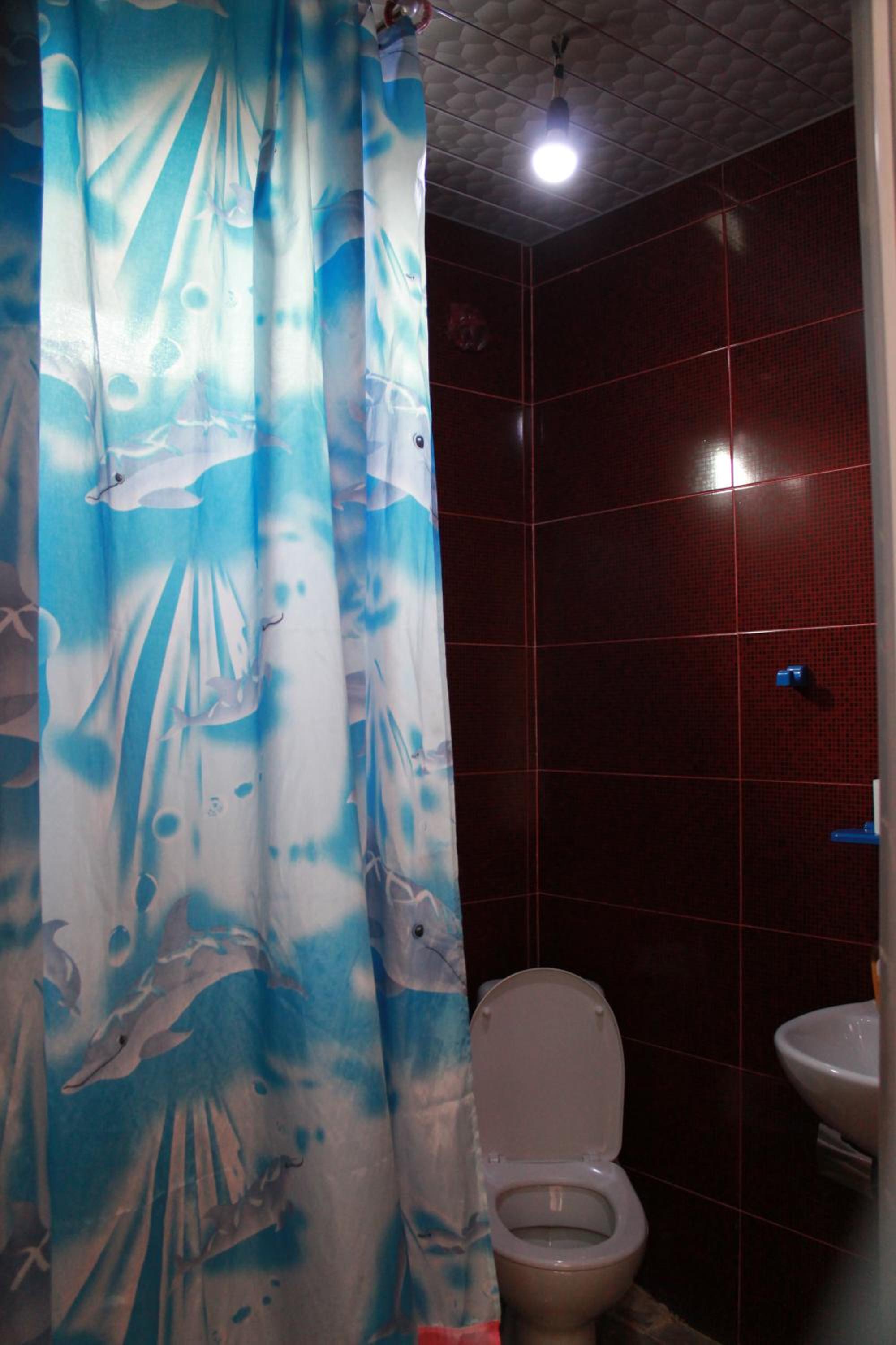 Photo 31