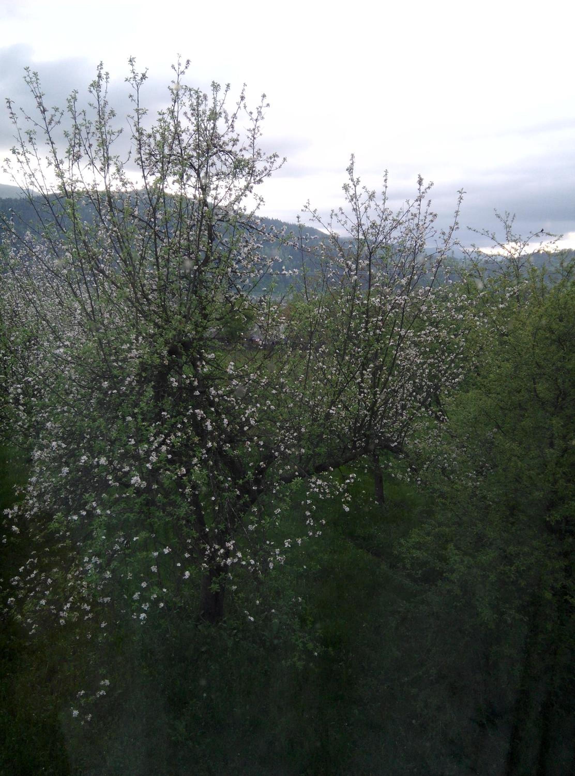 Photo 24