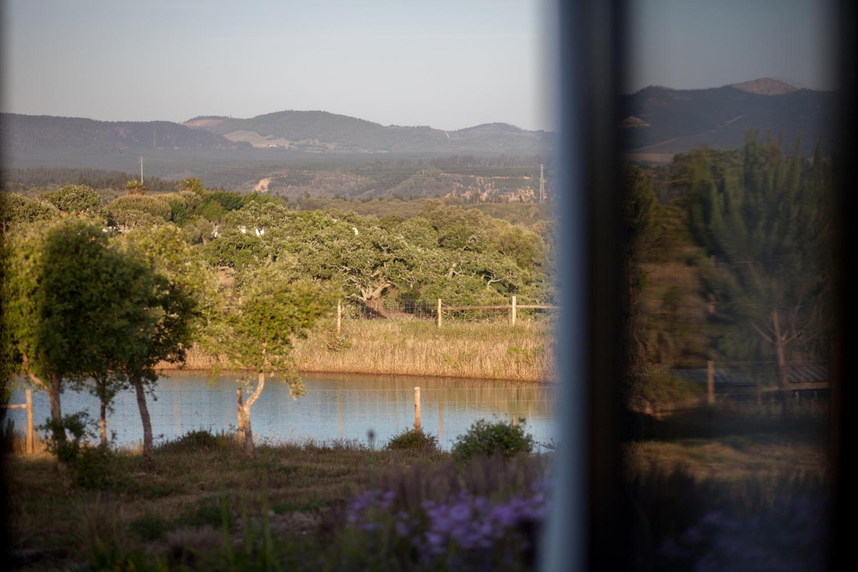 Monte Do Zambujeiro