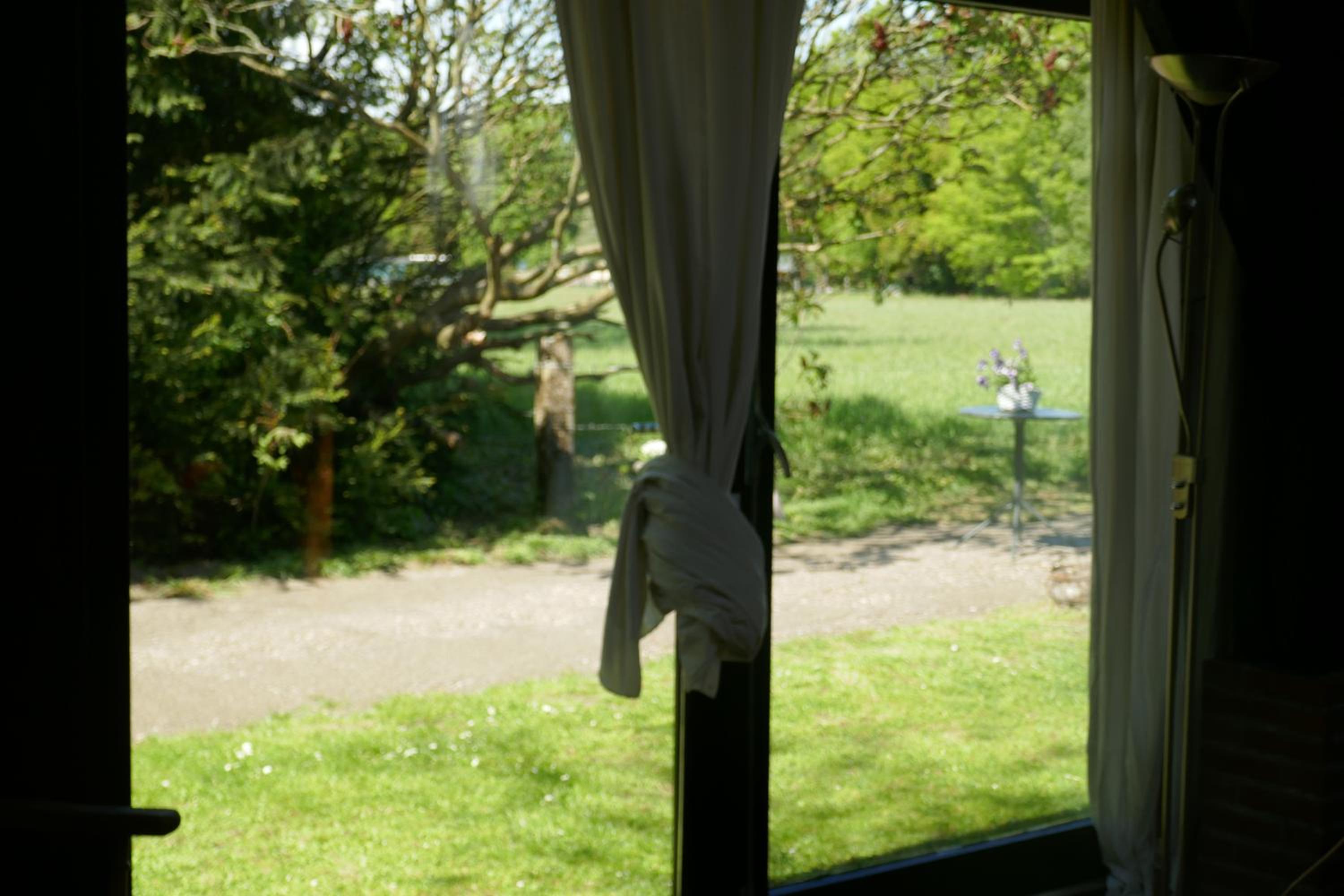 Photo 45