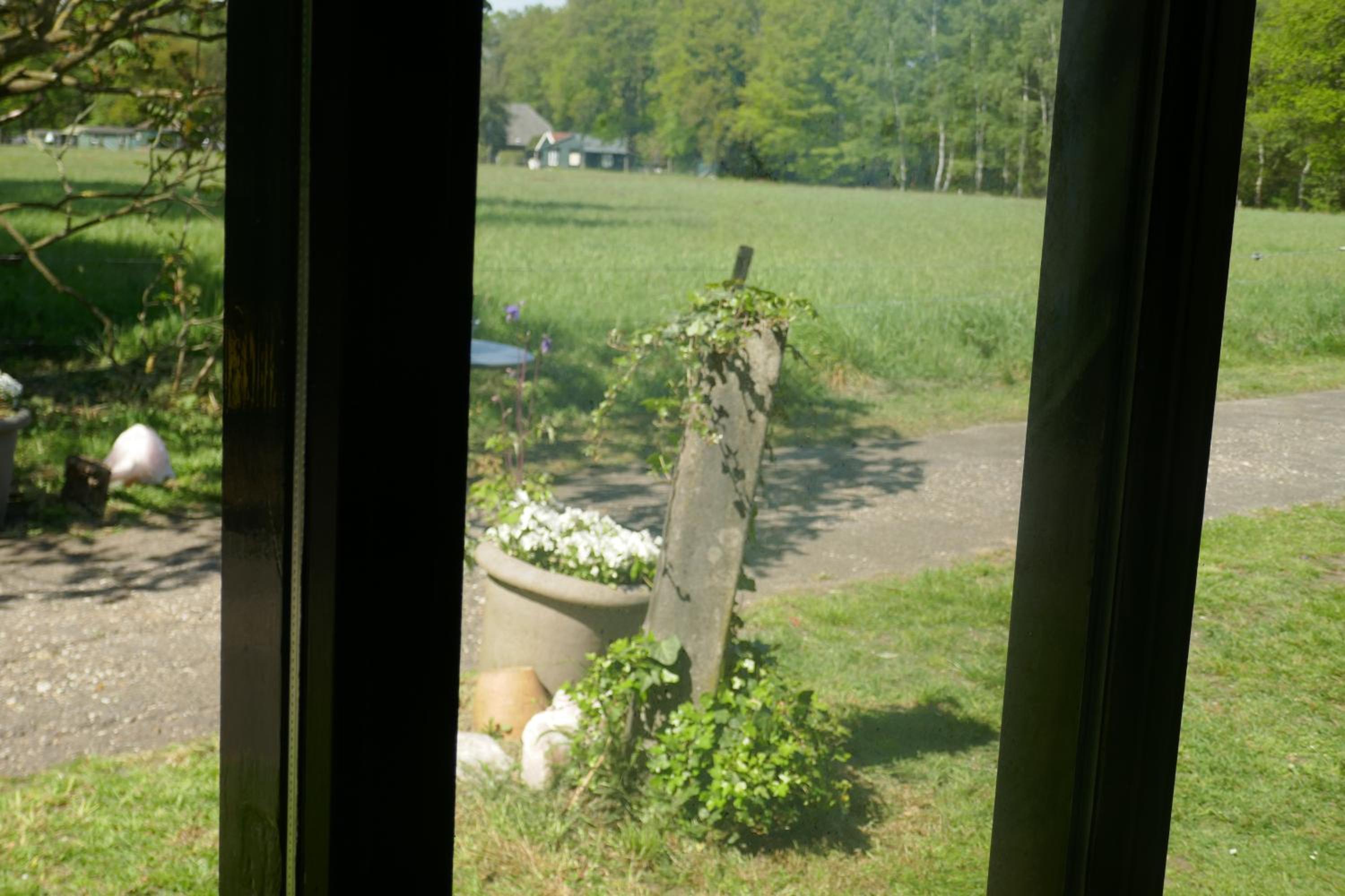 Photo 35