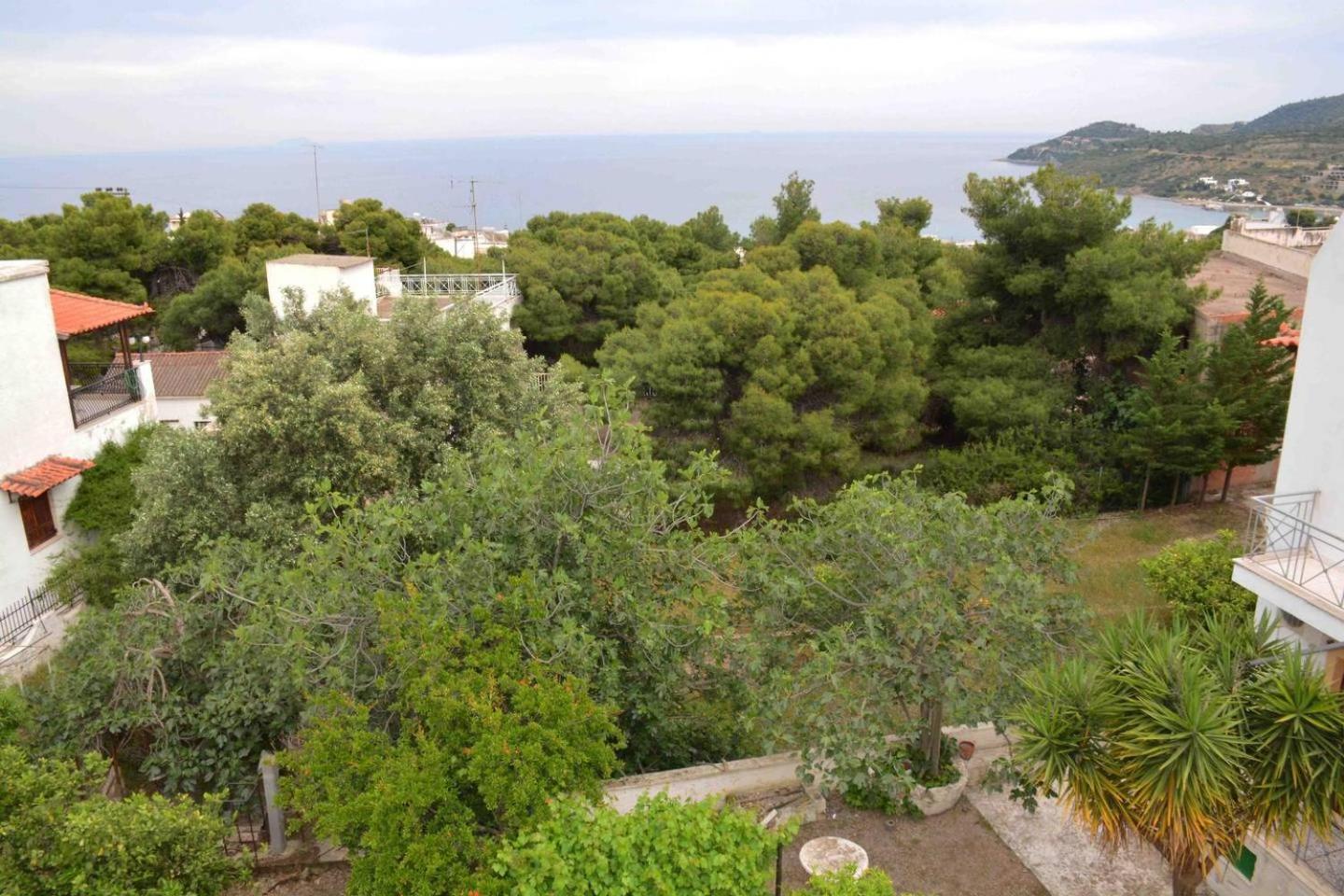 Aelia Houses