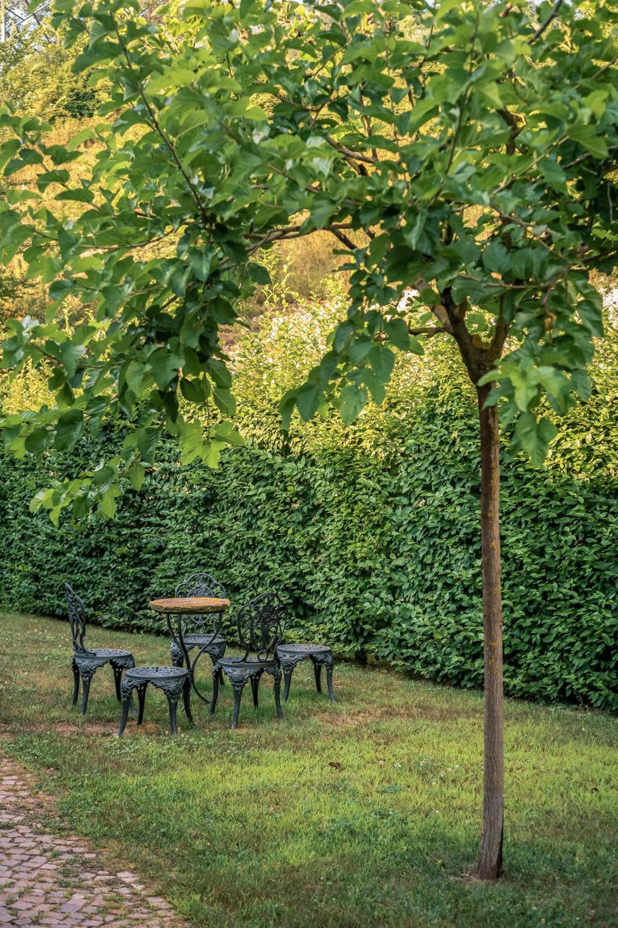 Agriturismo Tenuta Polledro