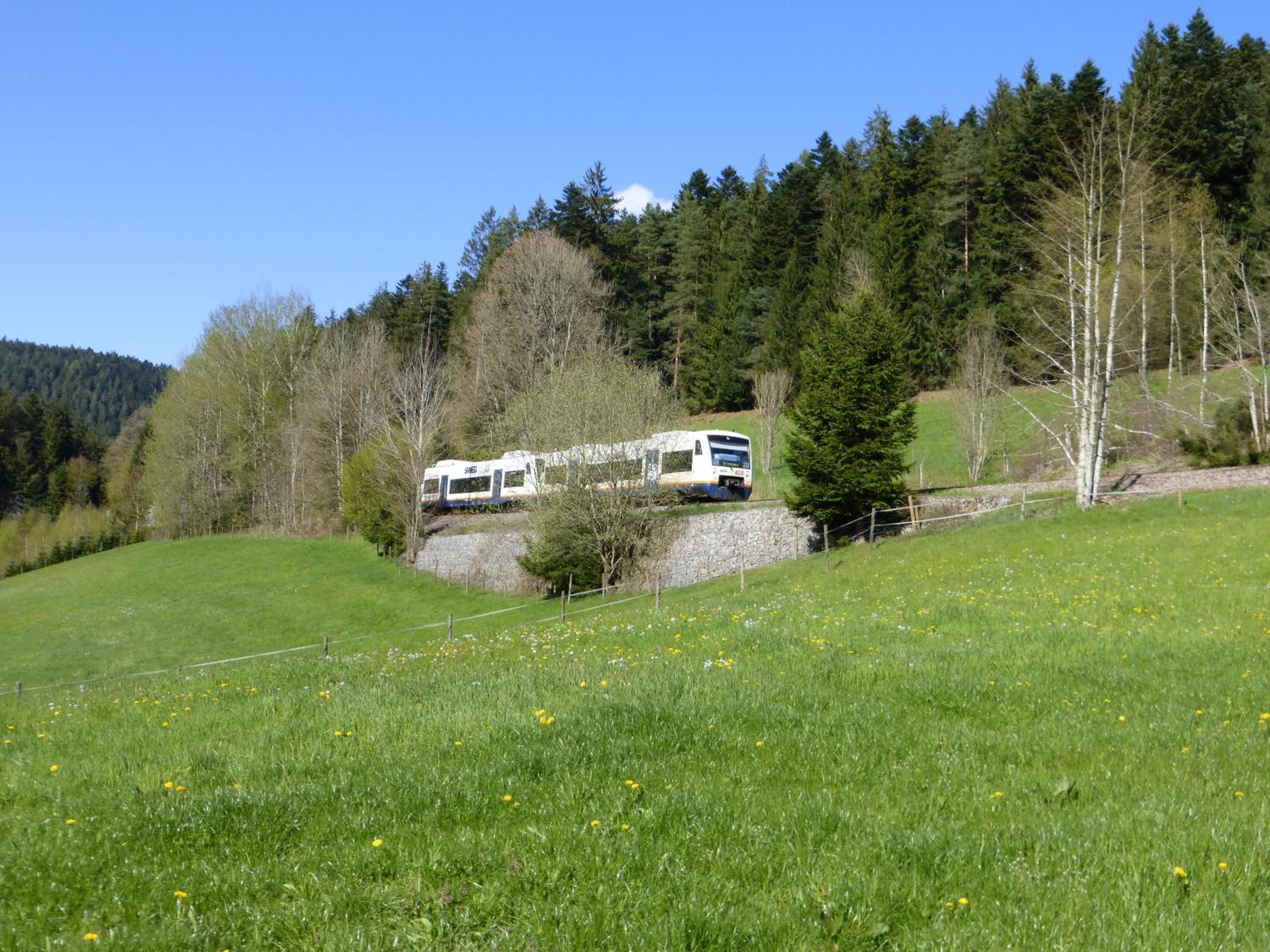 Photo 6