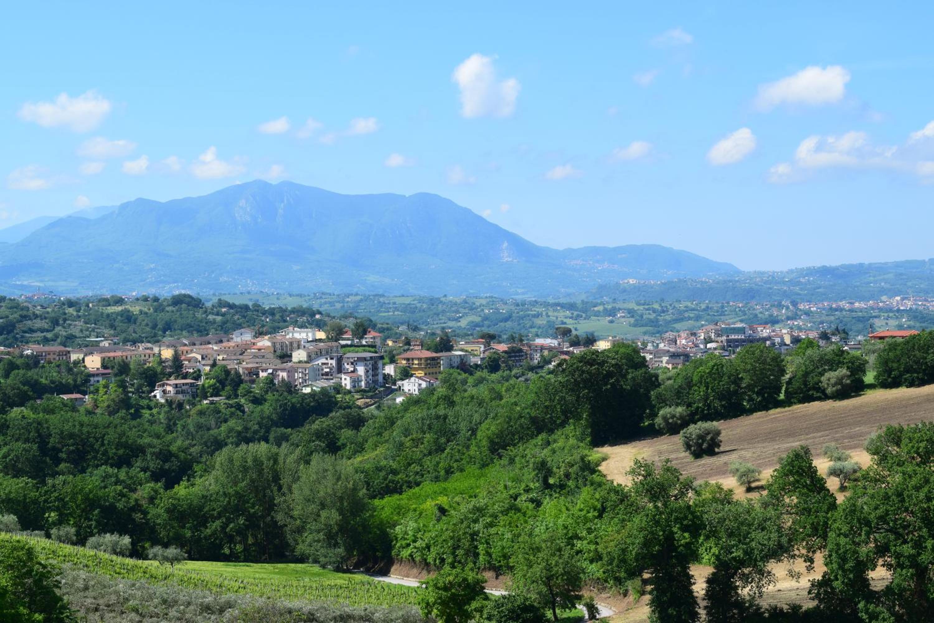 Regina Viarum view 5
