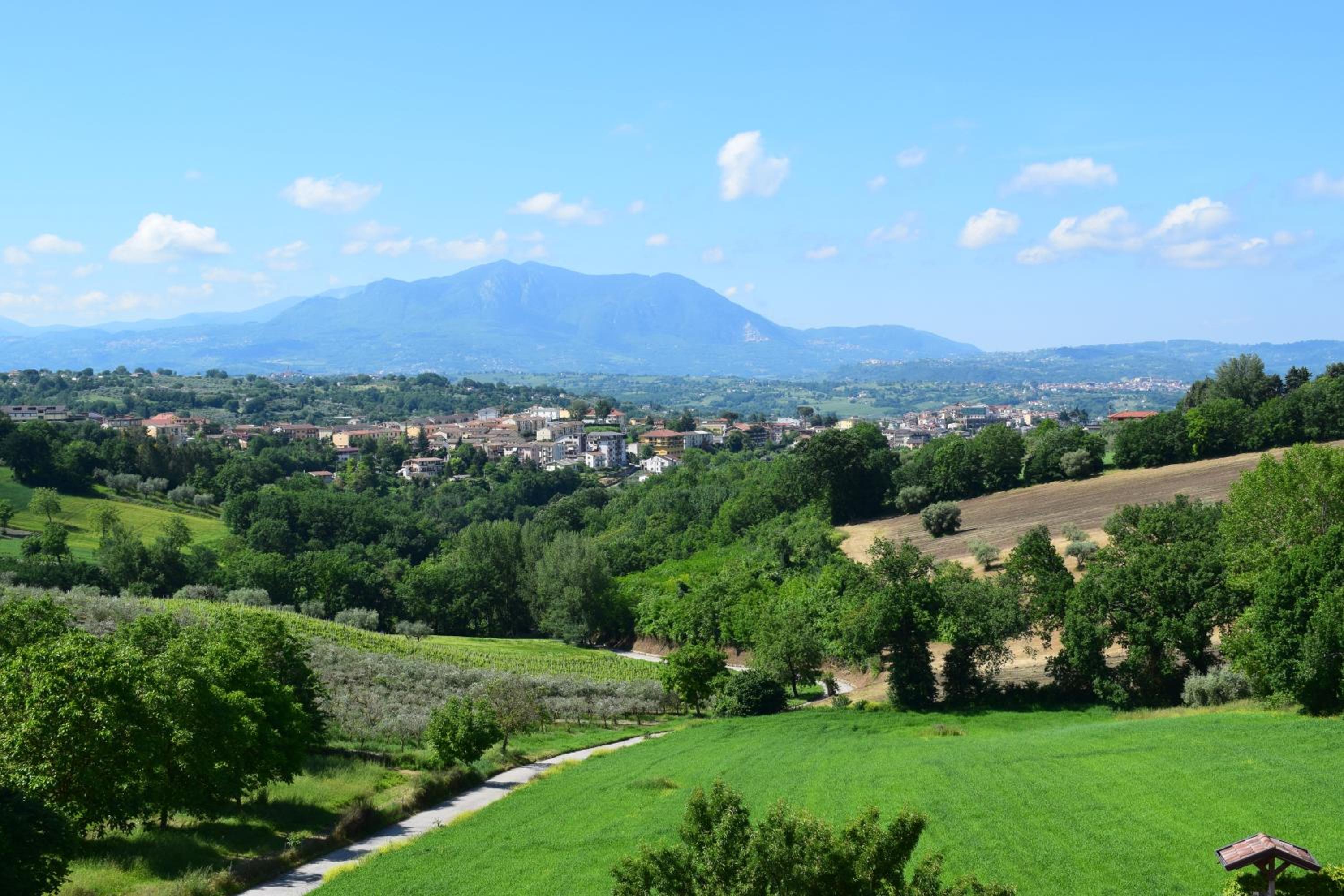 Regina Viarum view 3