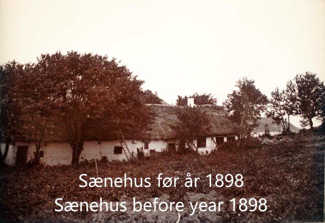 Sænehus Husmandssted