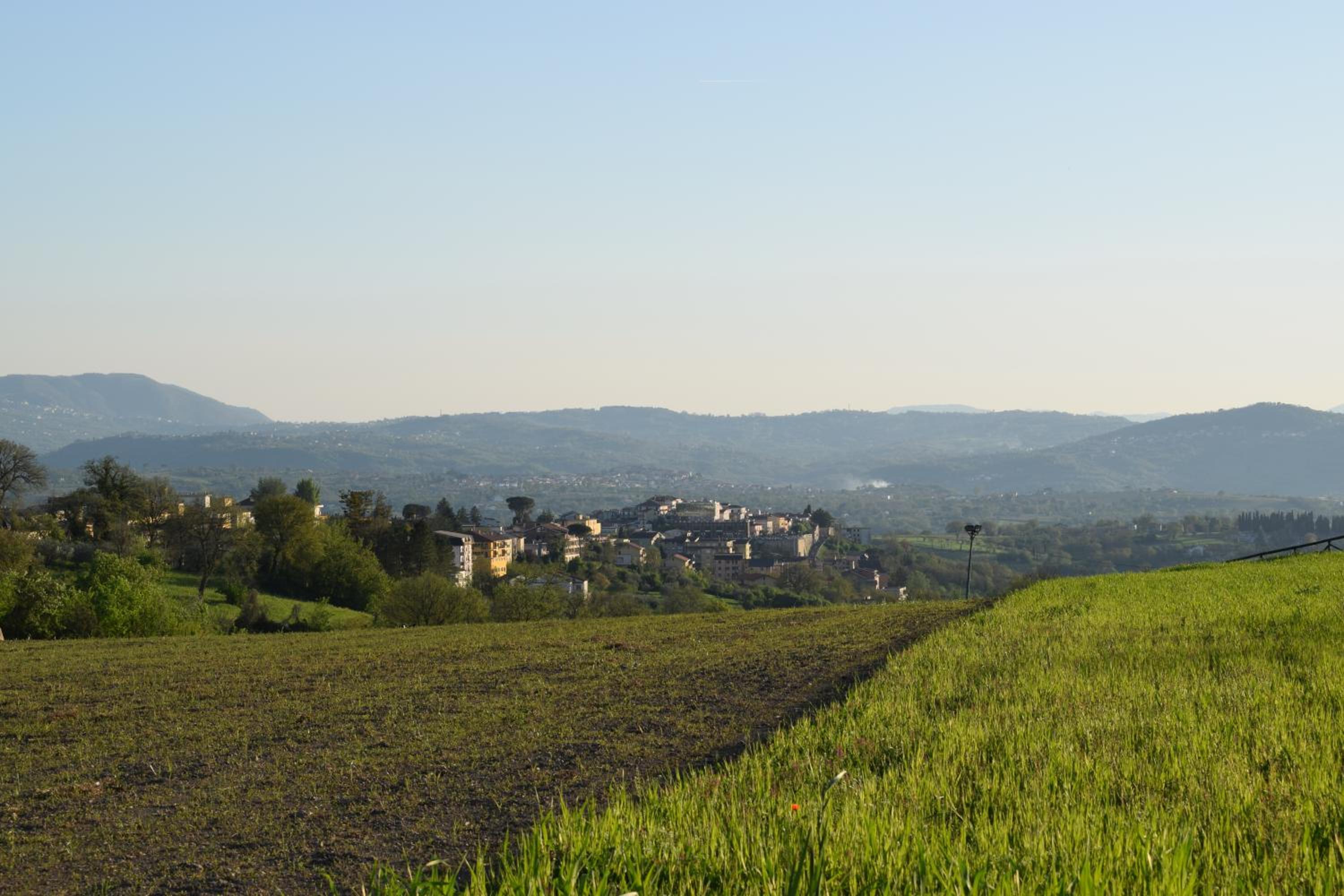 Regina Viarum view 4