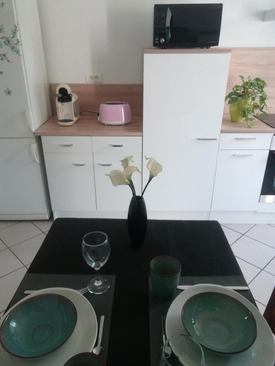 Appartement avec jardin à Colmar view 2