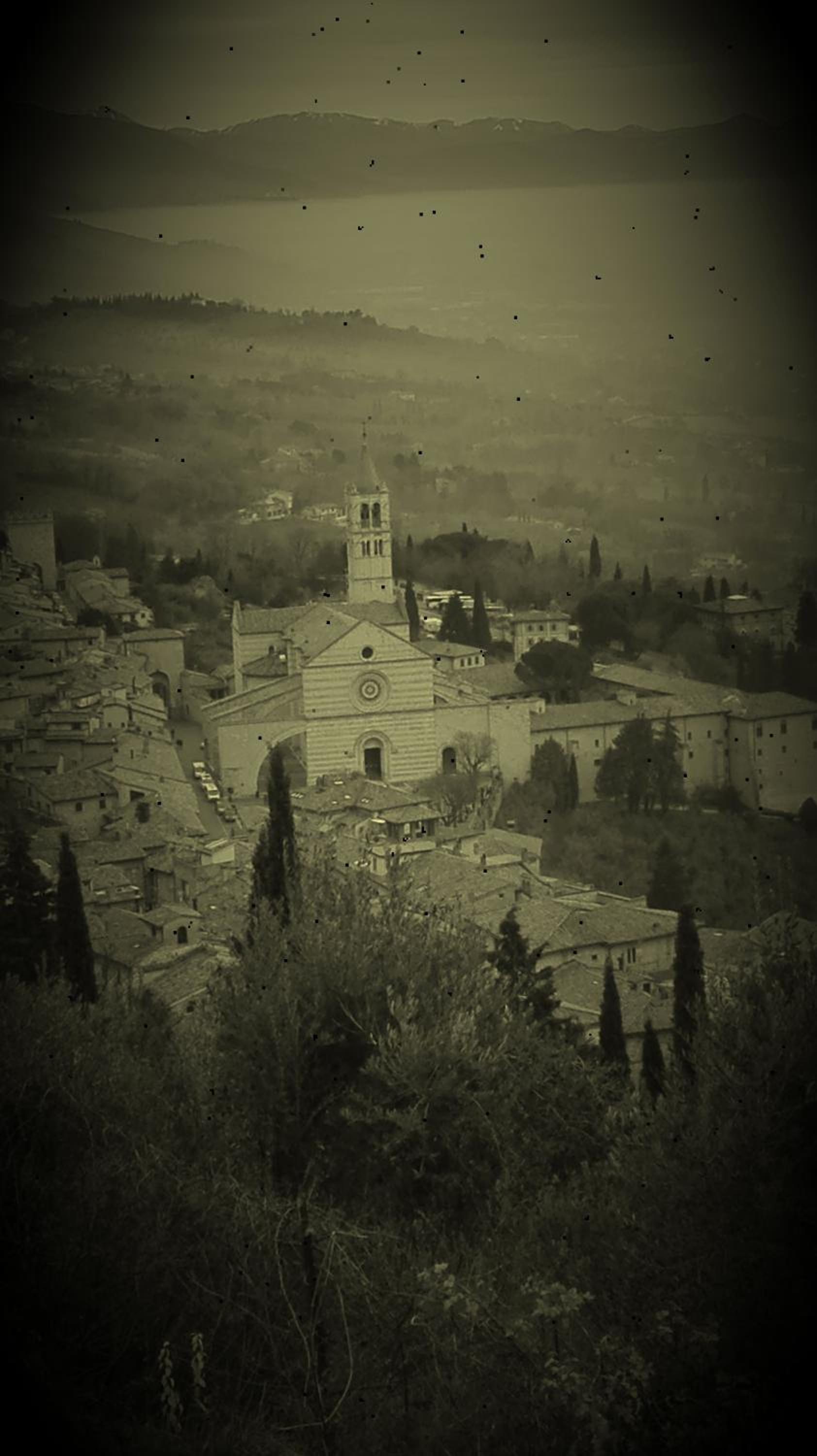 Photo 33