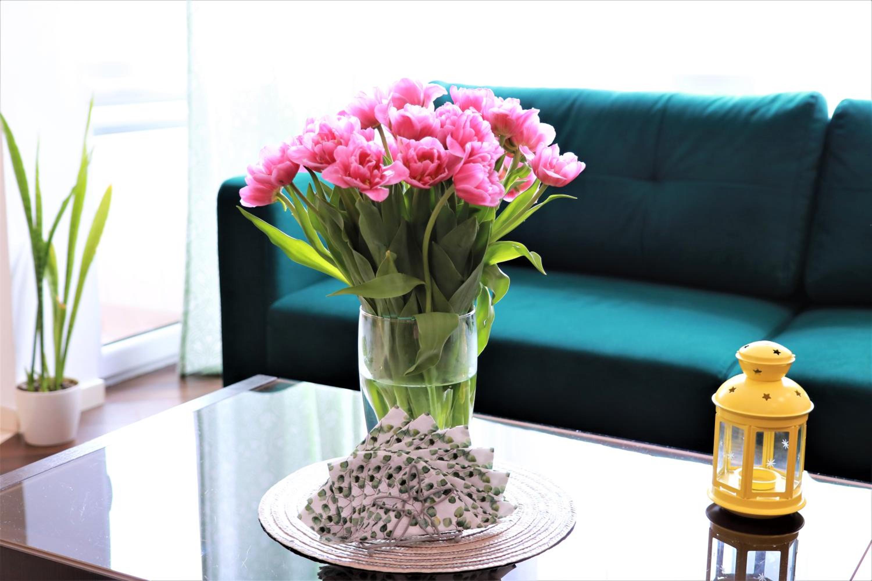 Stylish and spacious by Cooee Apartments view 4