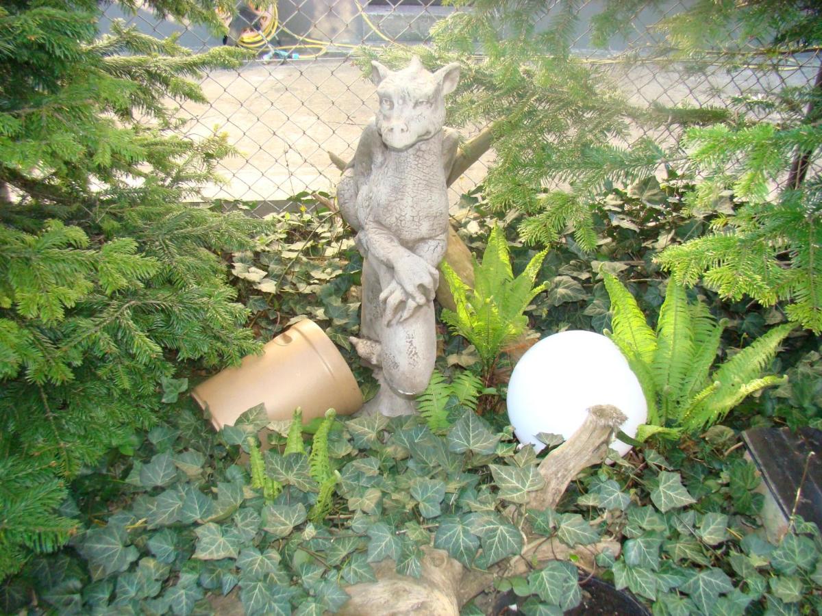 Photo 29