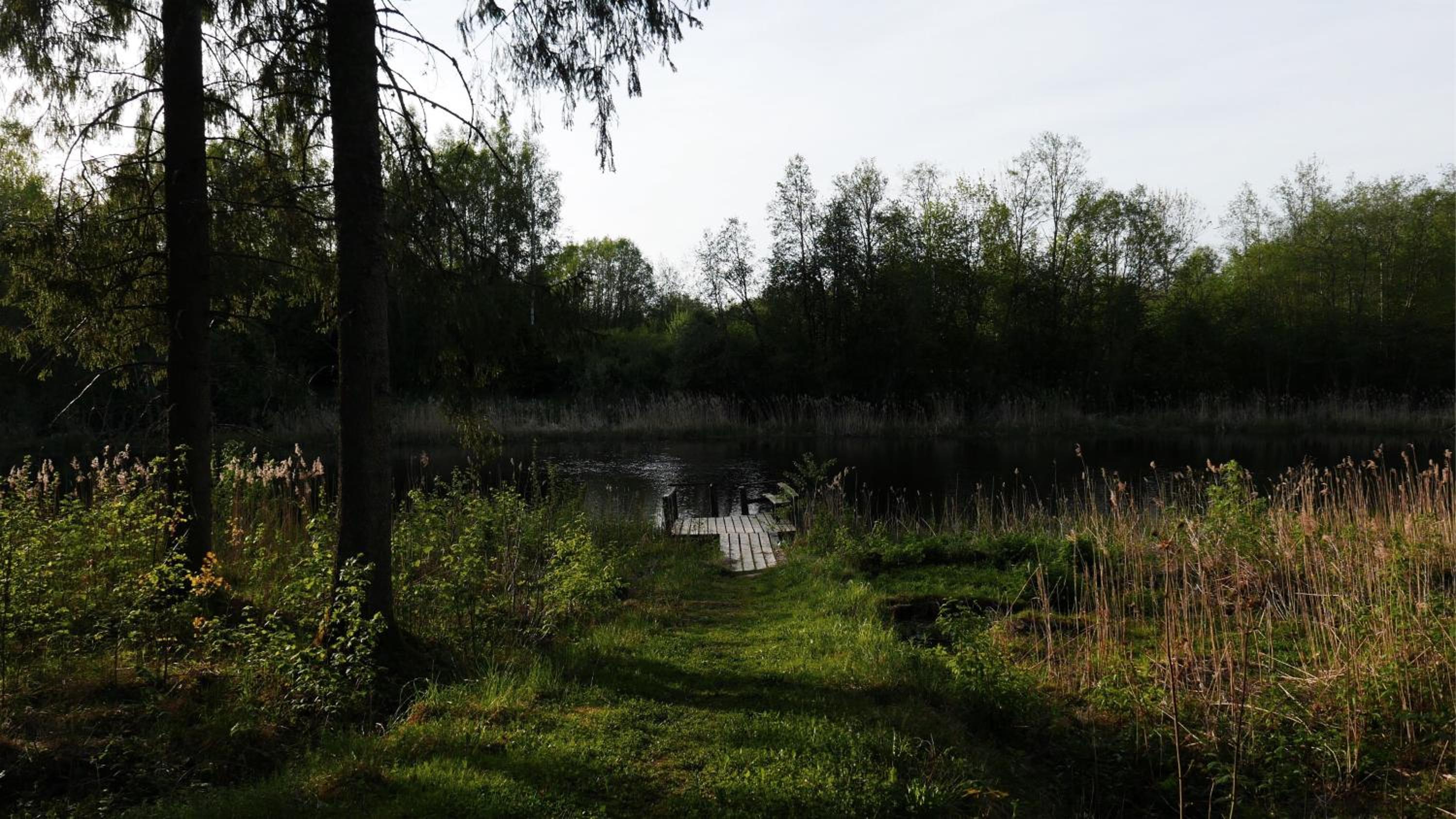 Photo 32