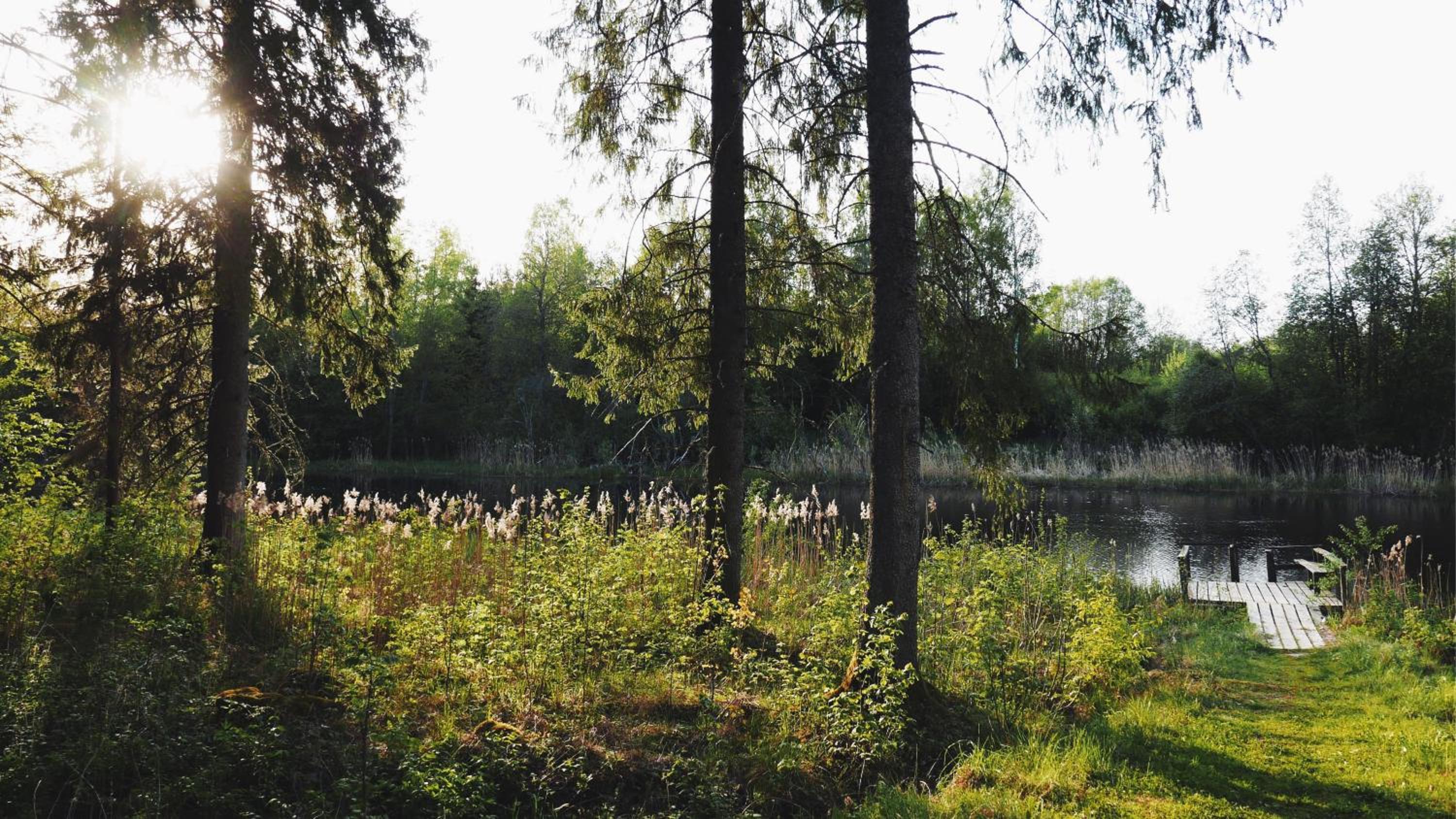 Photo 36