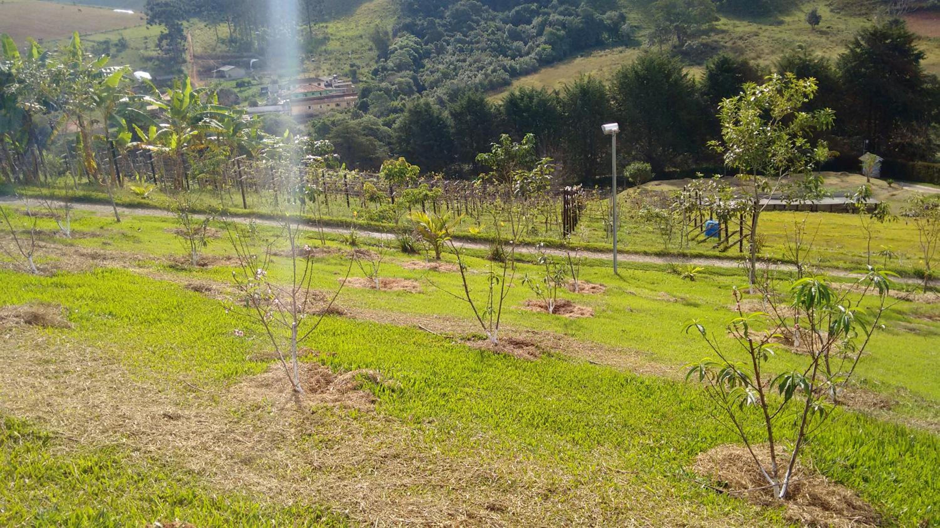Recanto das Videiras, photo 27