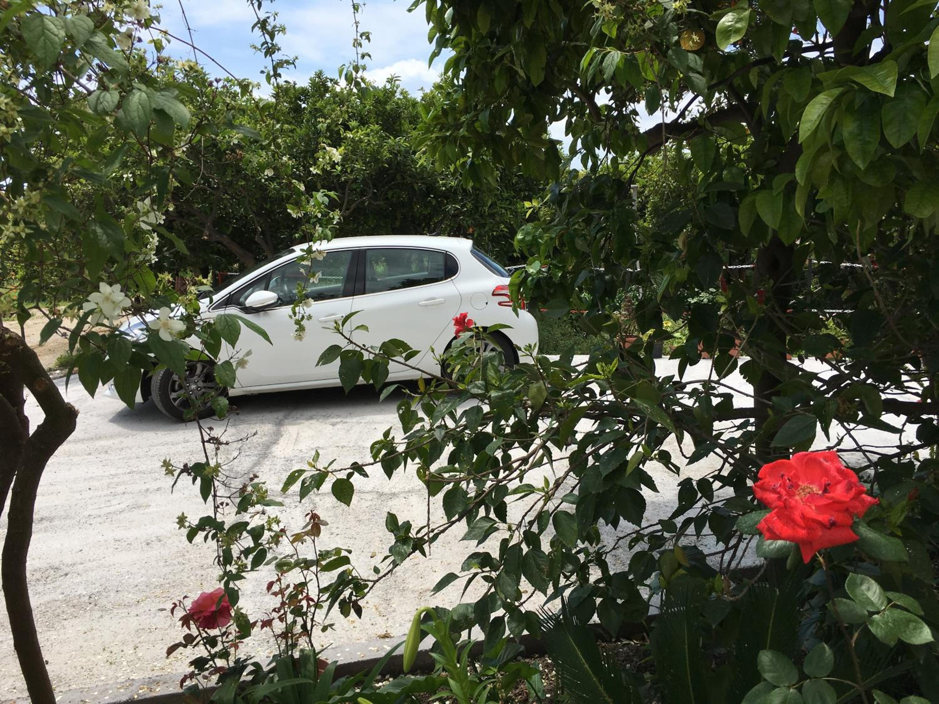 parking