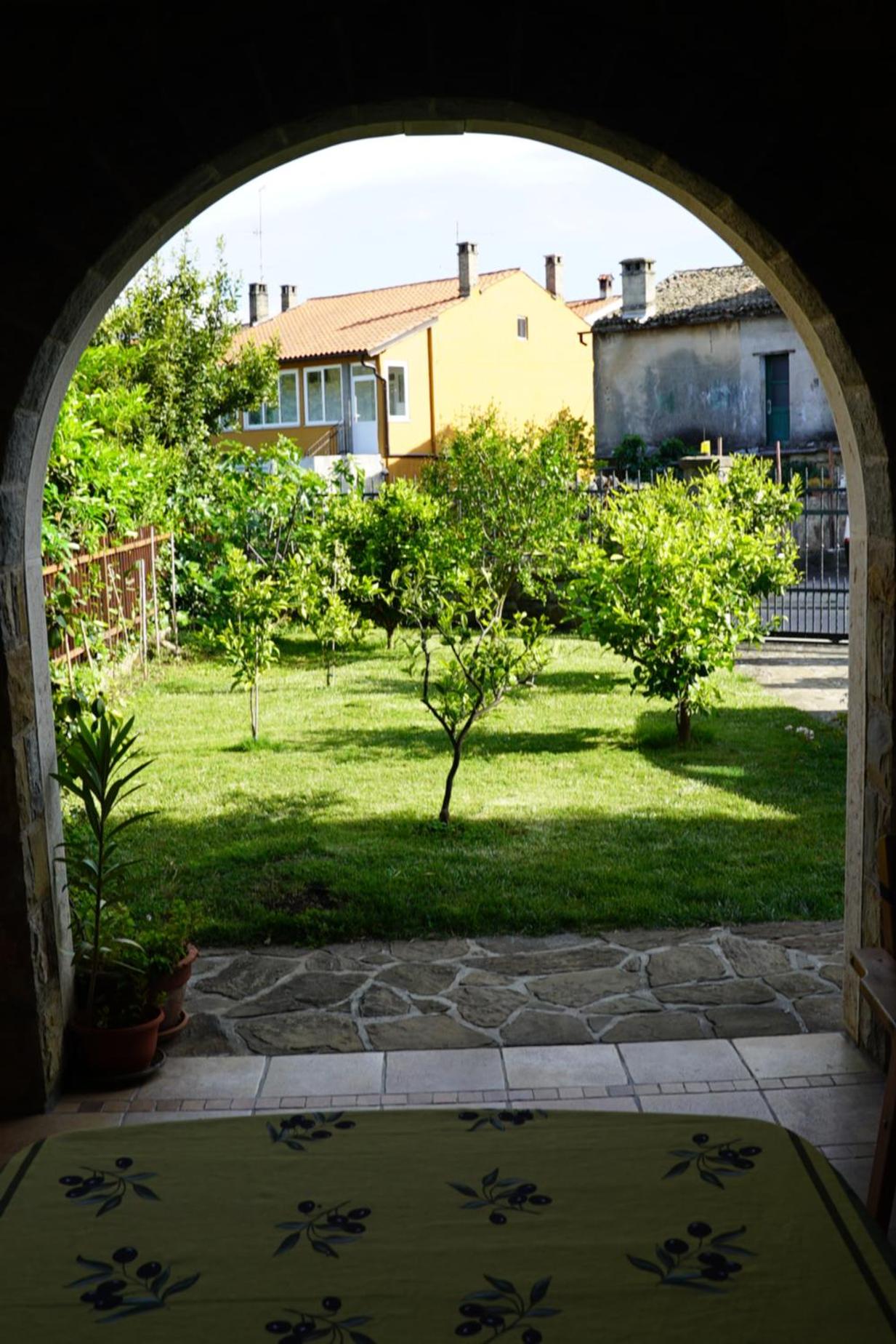 Photo 27