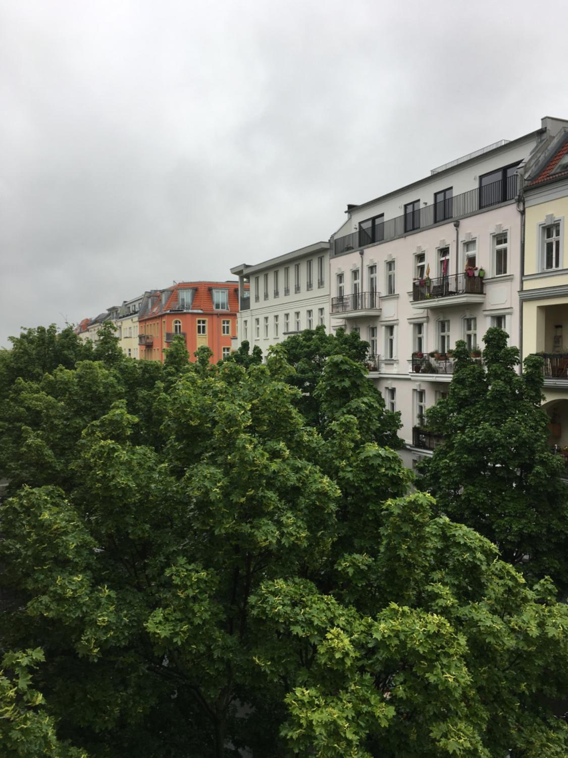 Apartment Winsstr. 68
