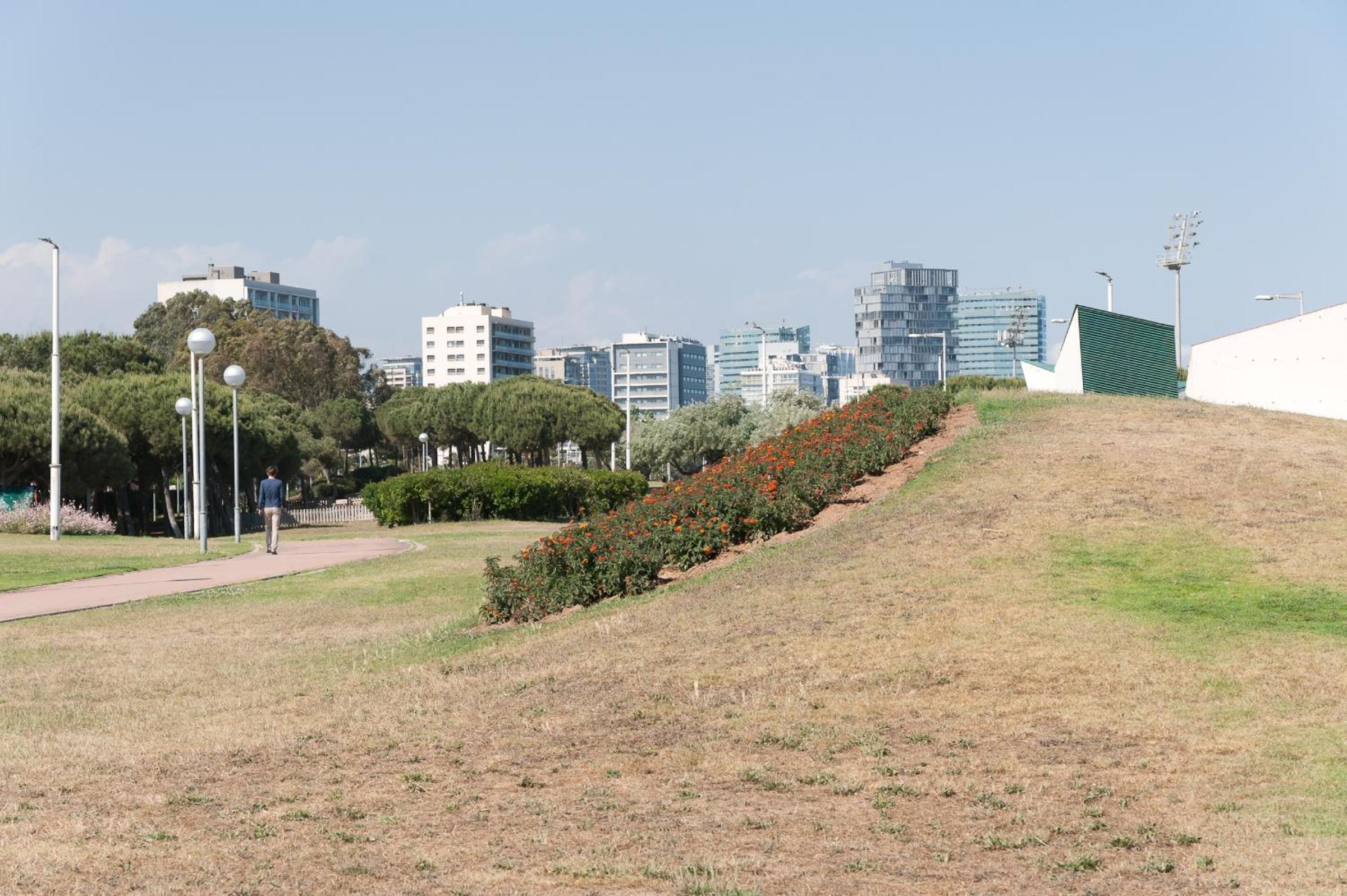 Basic Platja