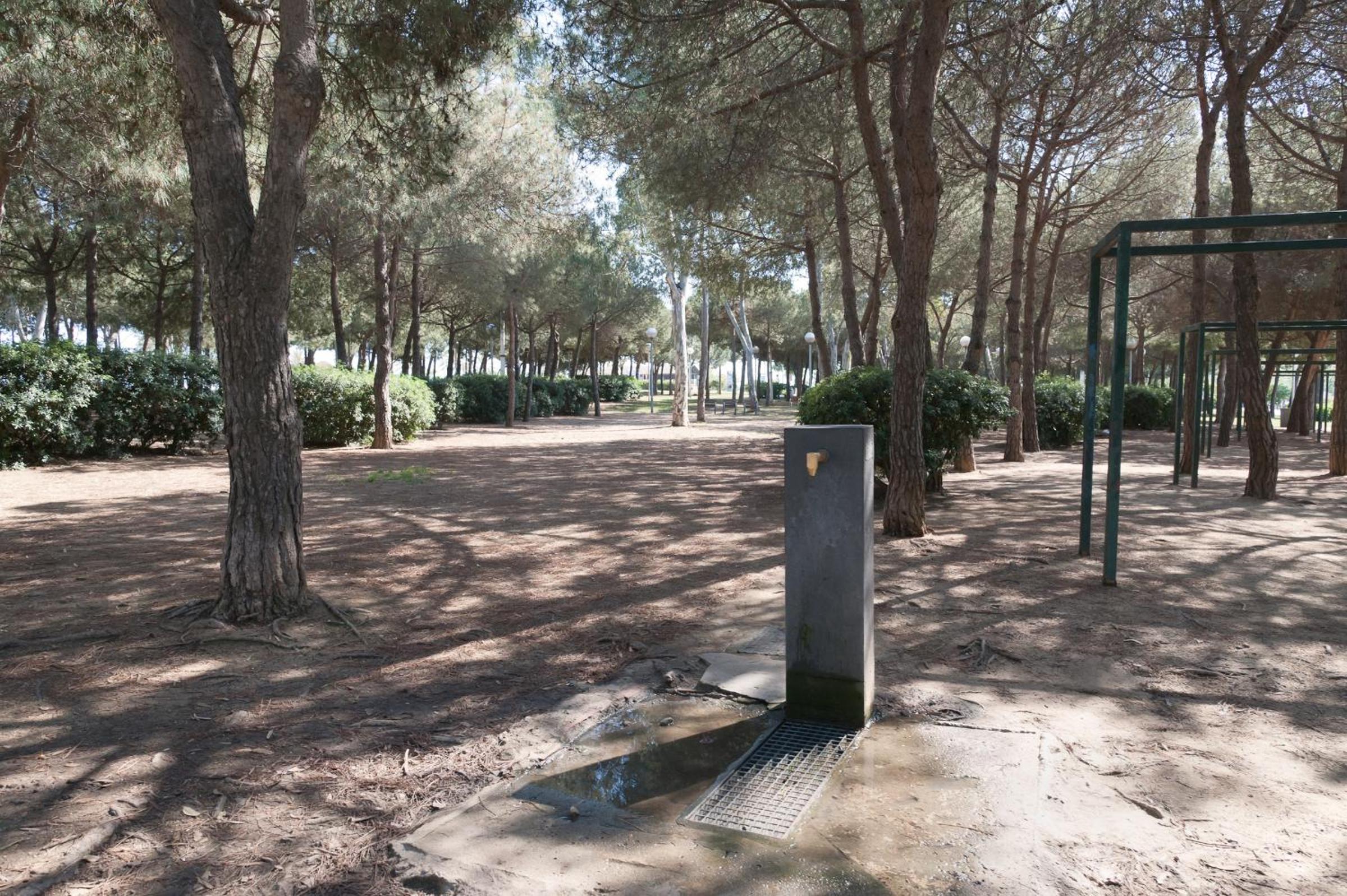 Basic Platja