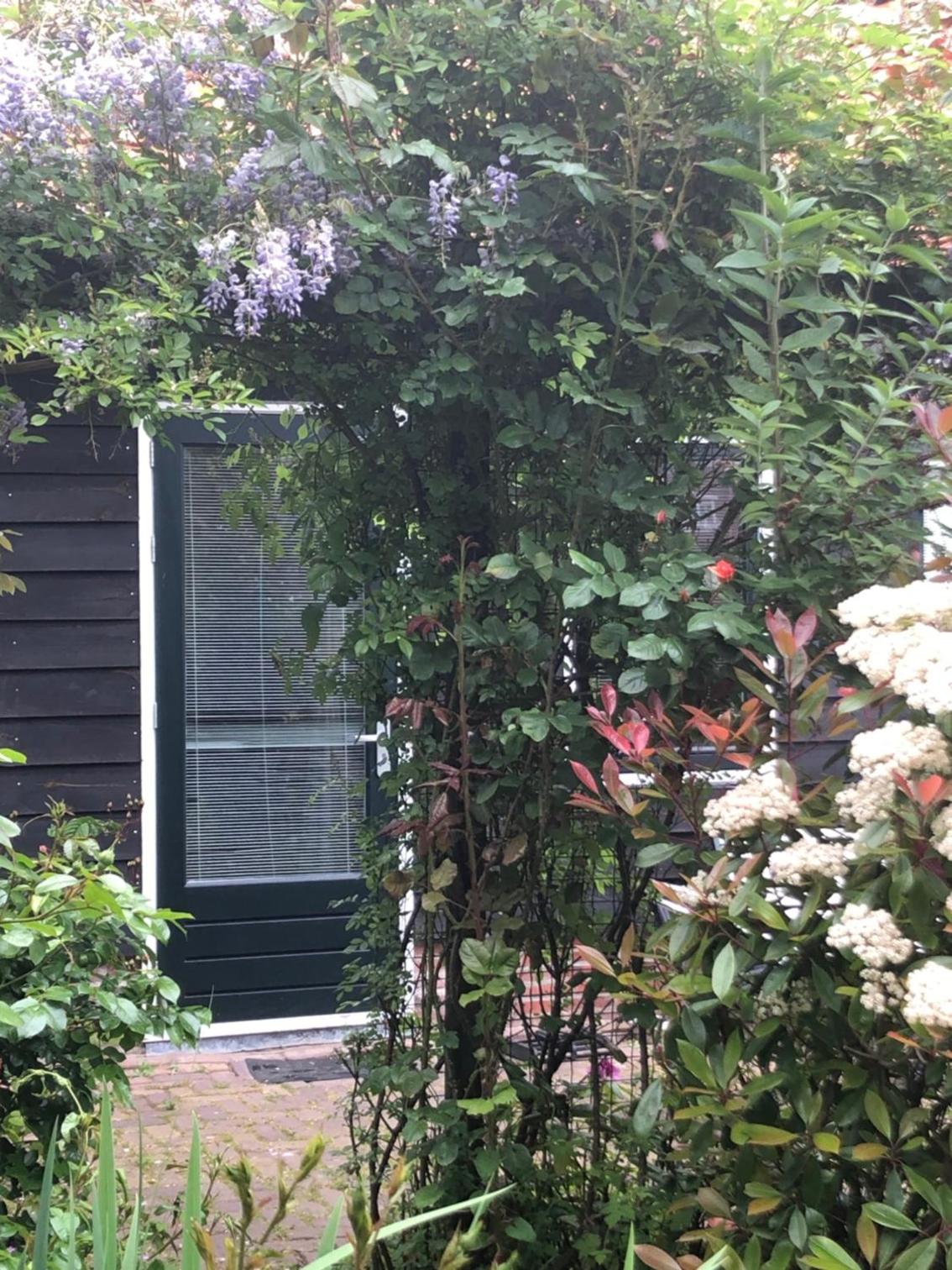B&B BLoom photo 2
