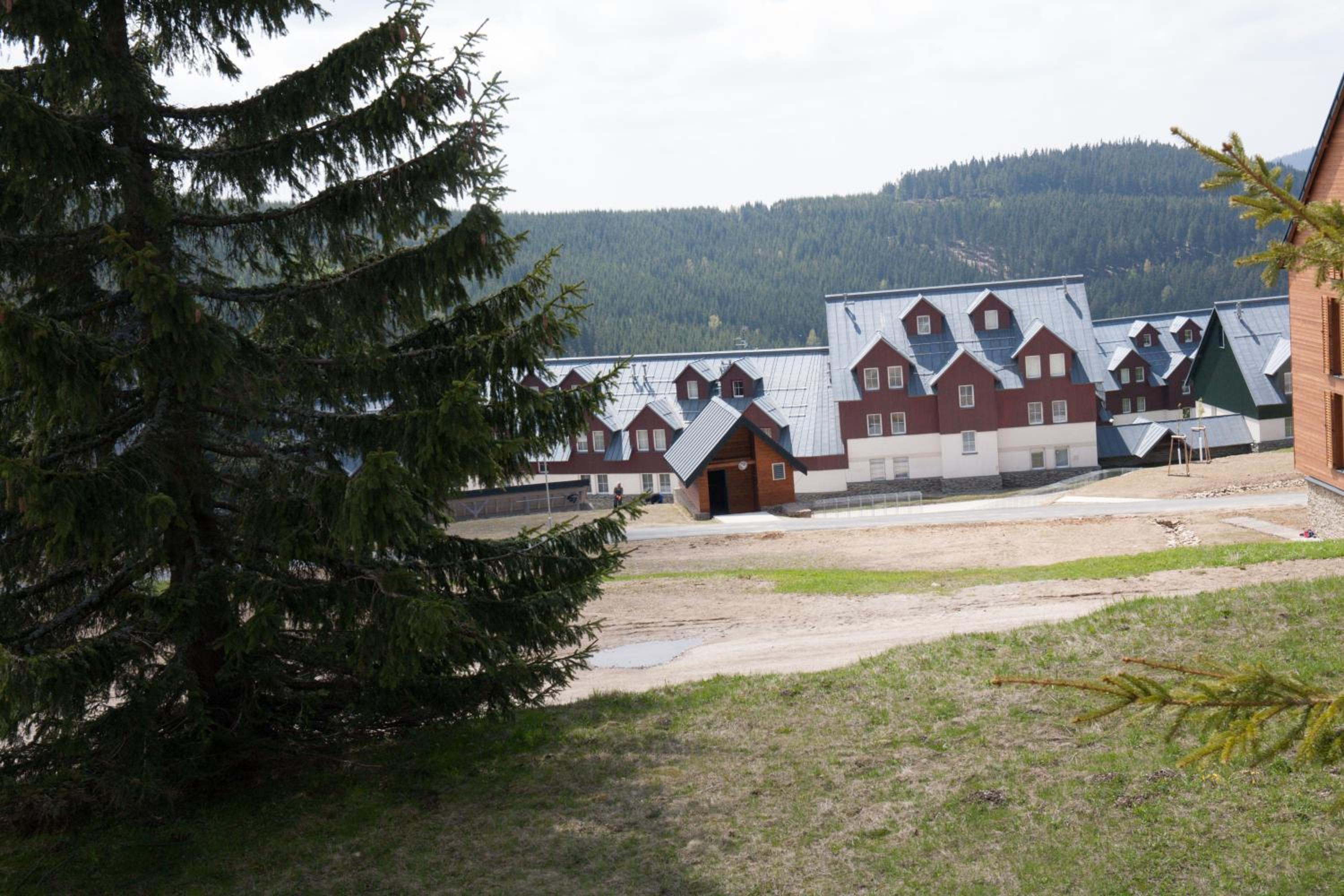 Photo 45