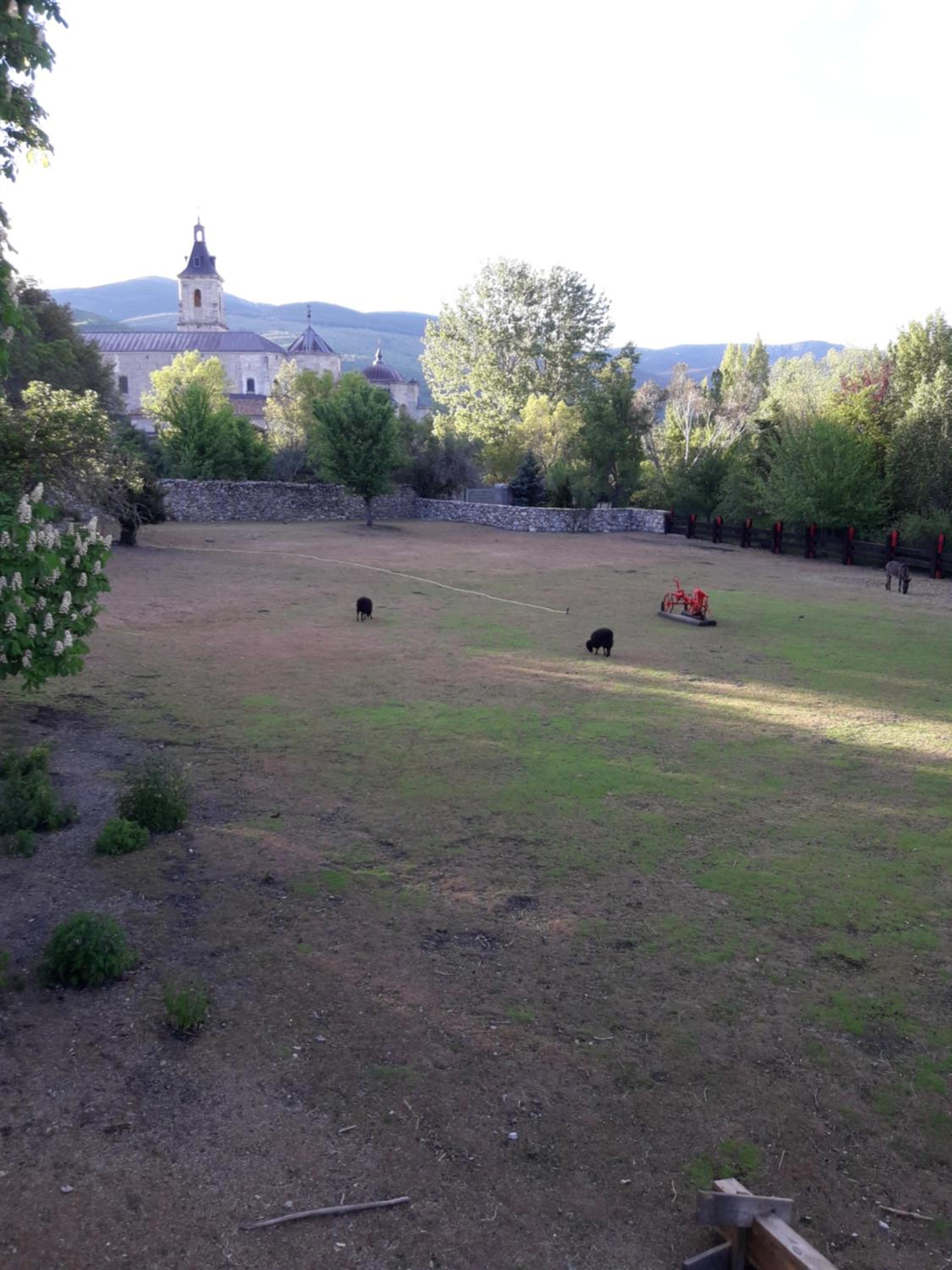 Photo 19