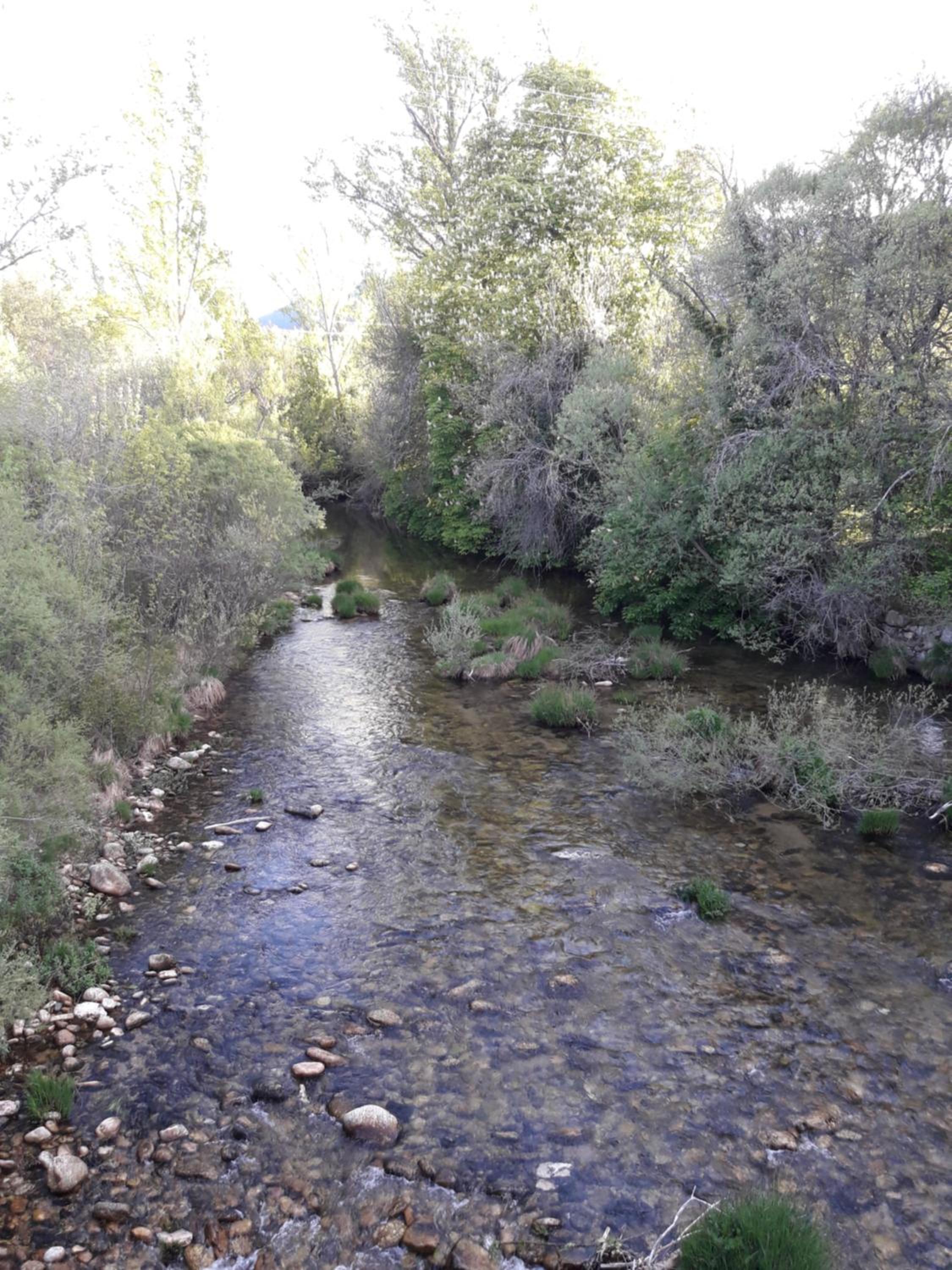 Photo 27