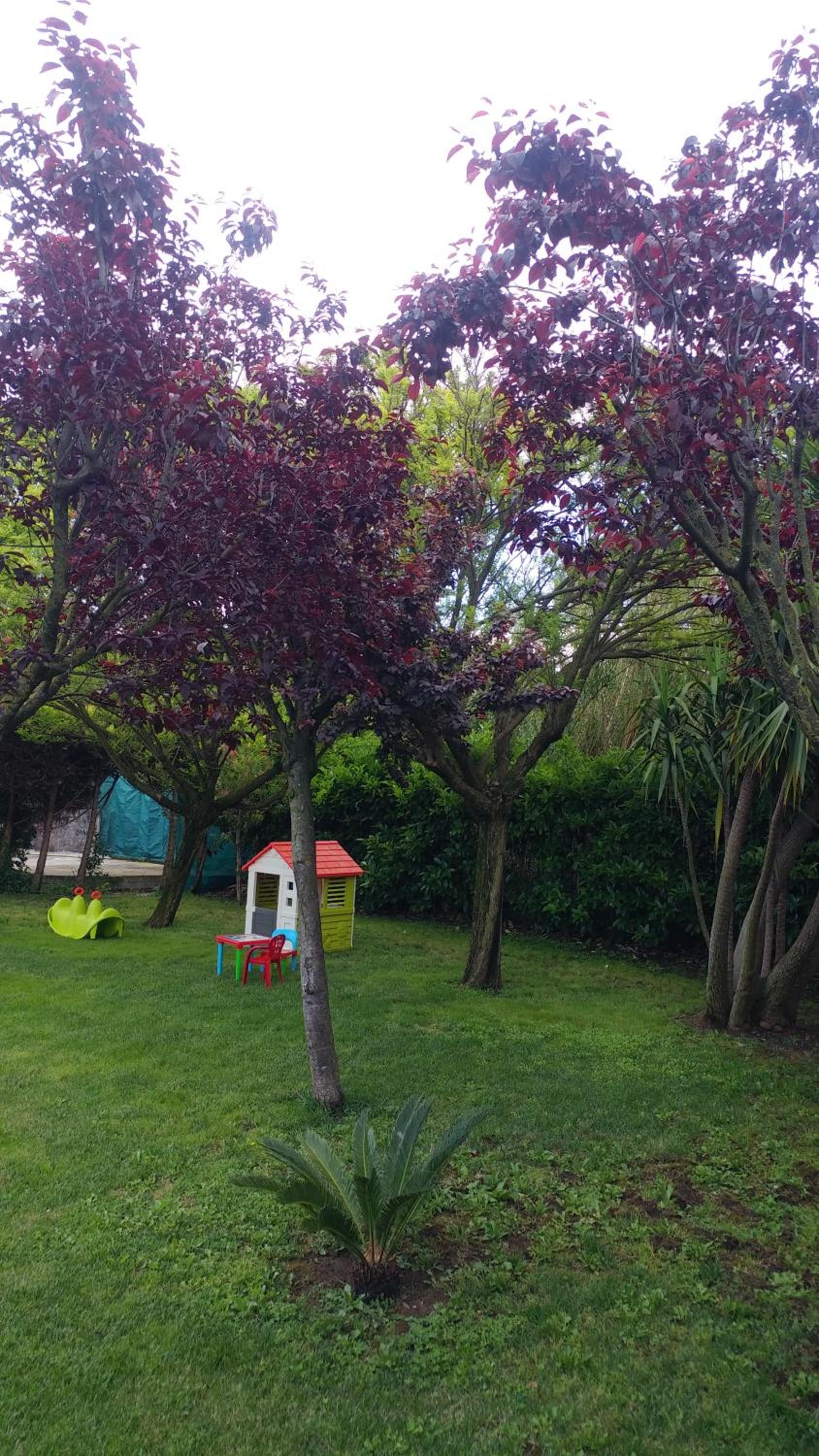 Photo 24