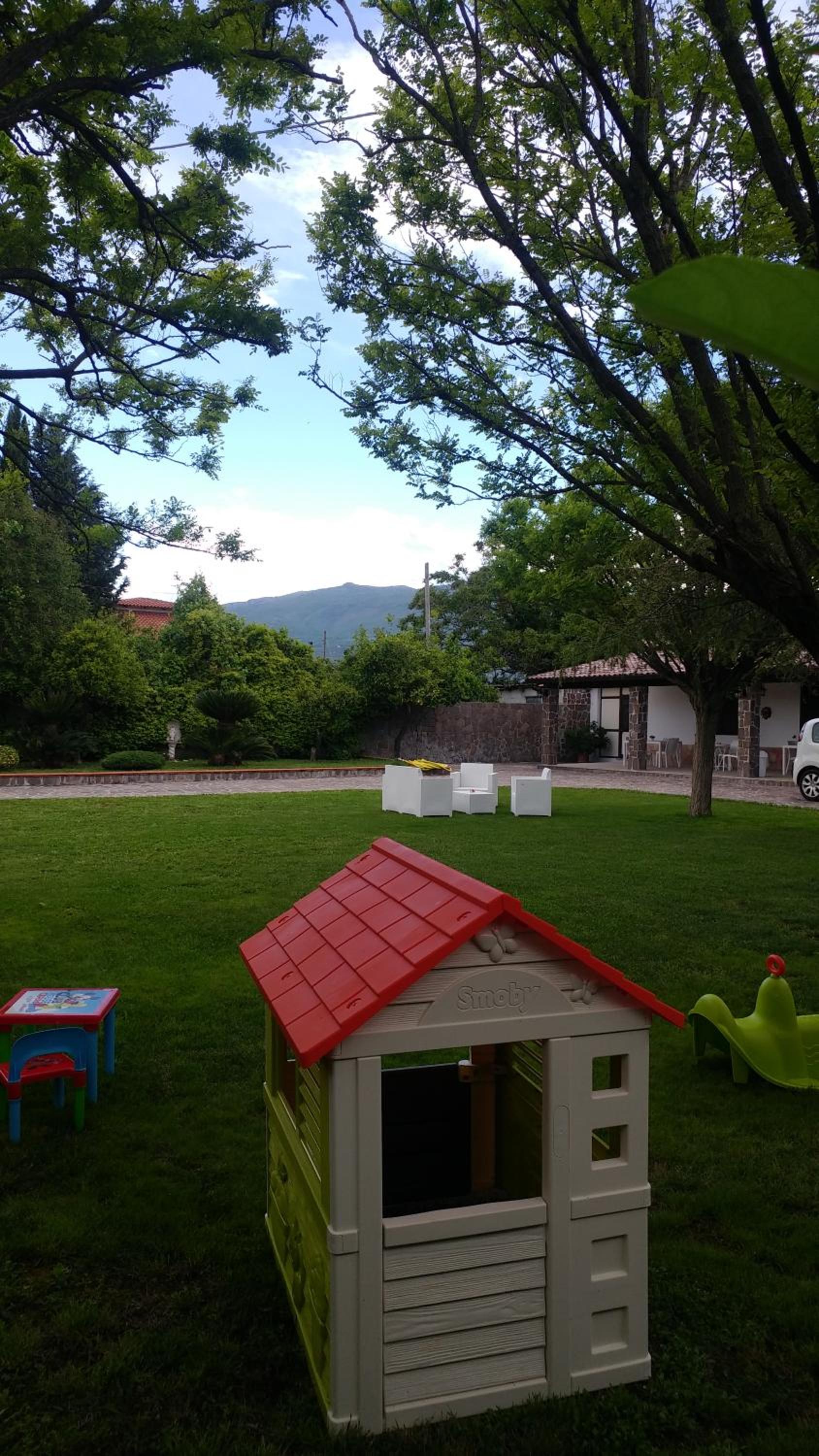 Photo 26